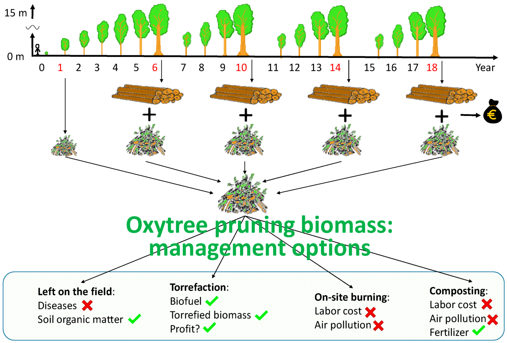 Materials 12 02228 g001 Materials 12 02228 g001