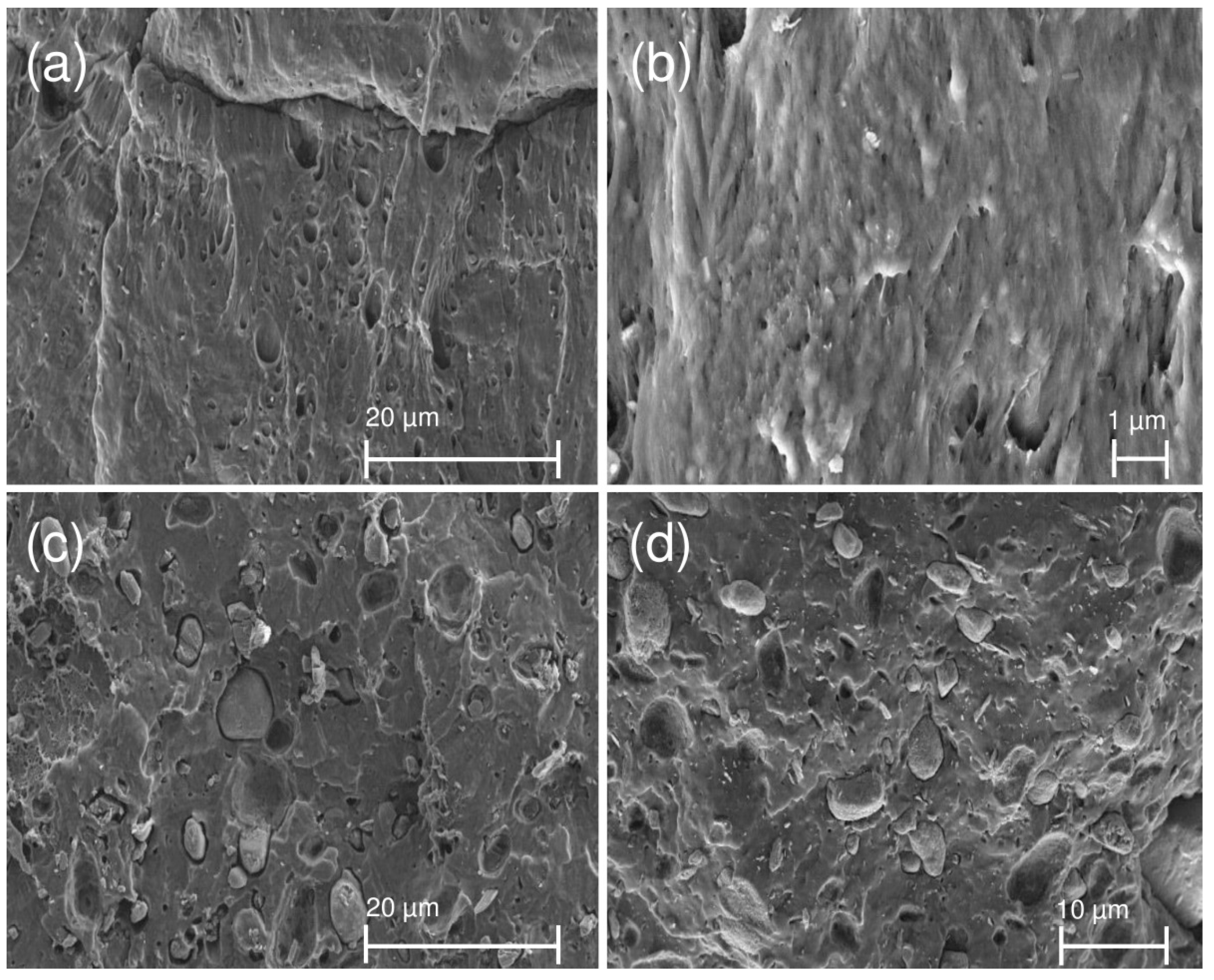 Materials 12 02239 g002 Materials 12 02239 g002