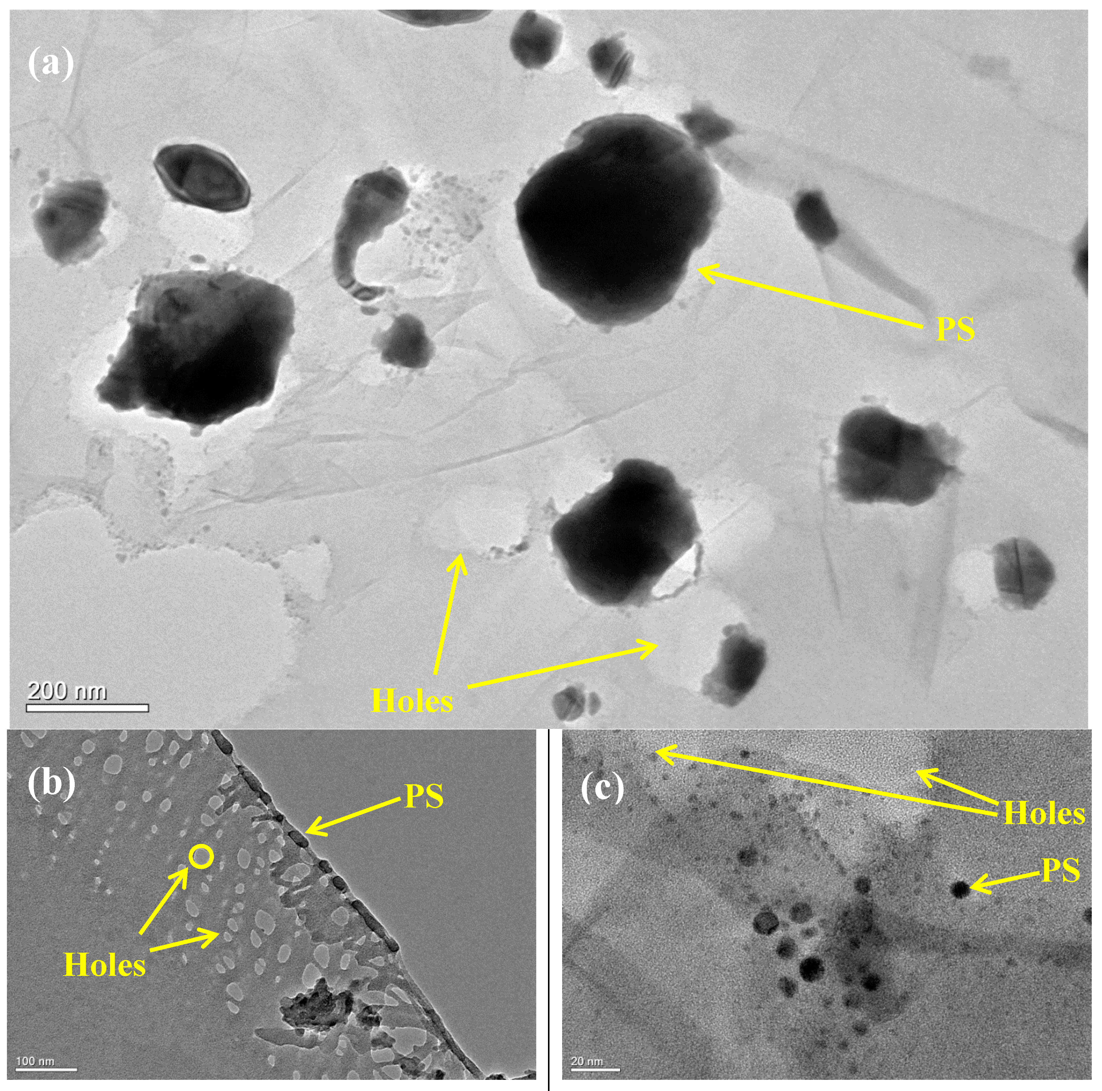 Materials 12 02248 g006