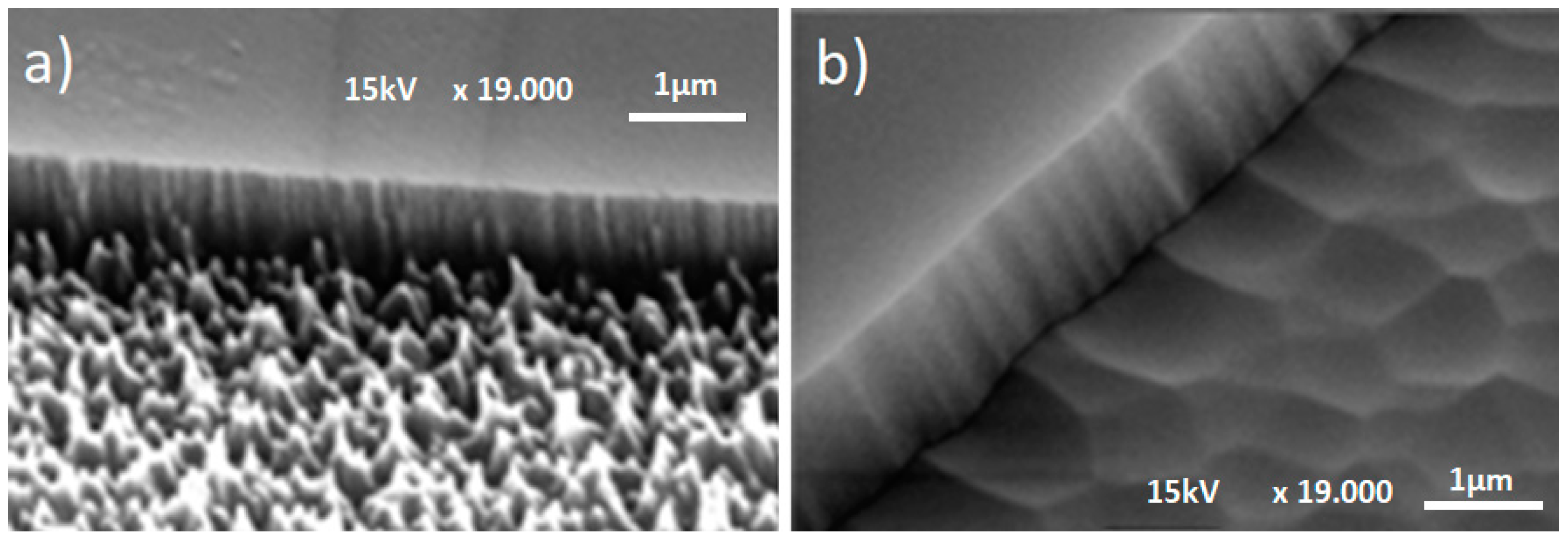 Materials 12 02254 g005