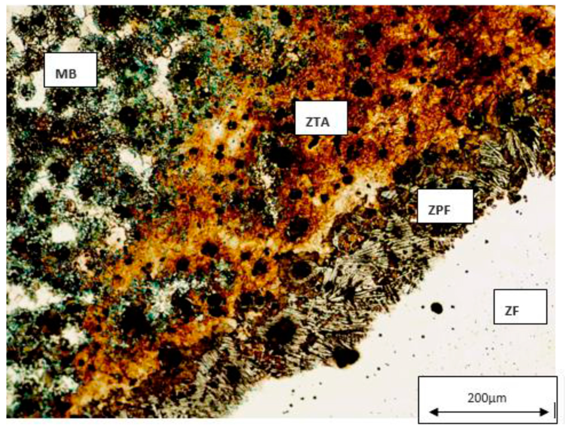 Materials 12 02263 g011