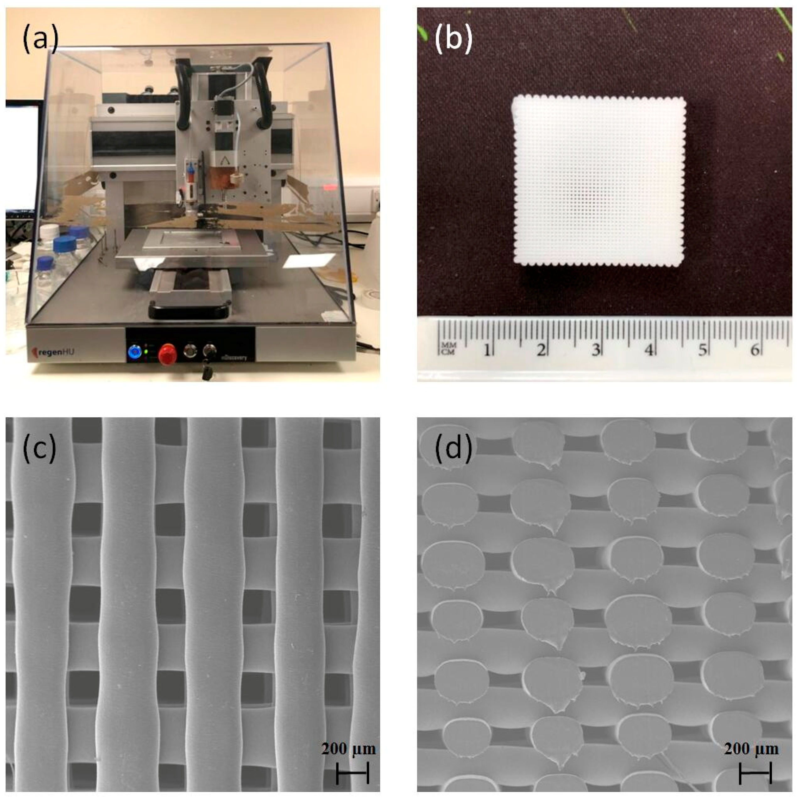 Materials 12 02268 g001 Materials 12 02268 g001