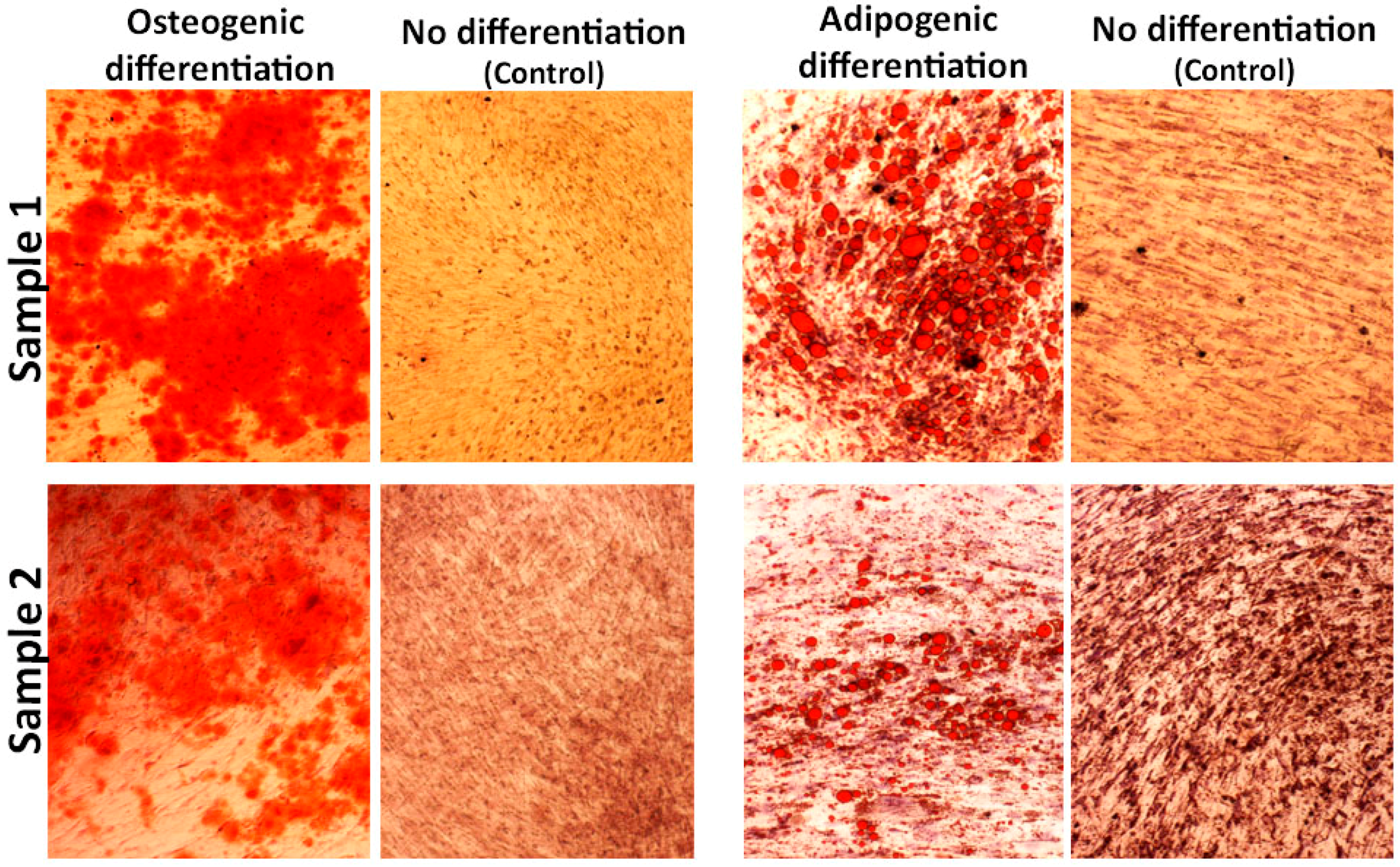 Materials 12 02268 g004 Materials 12 02268 g004