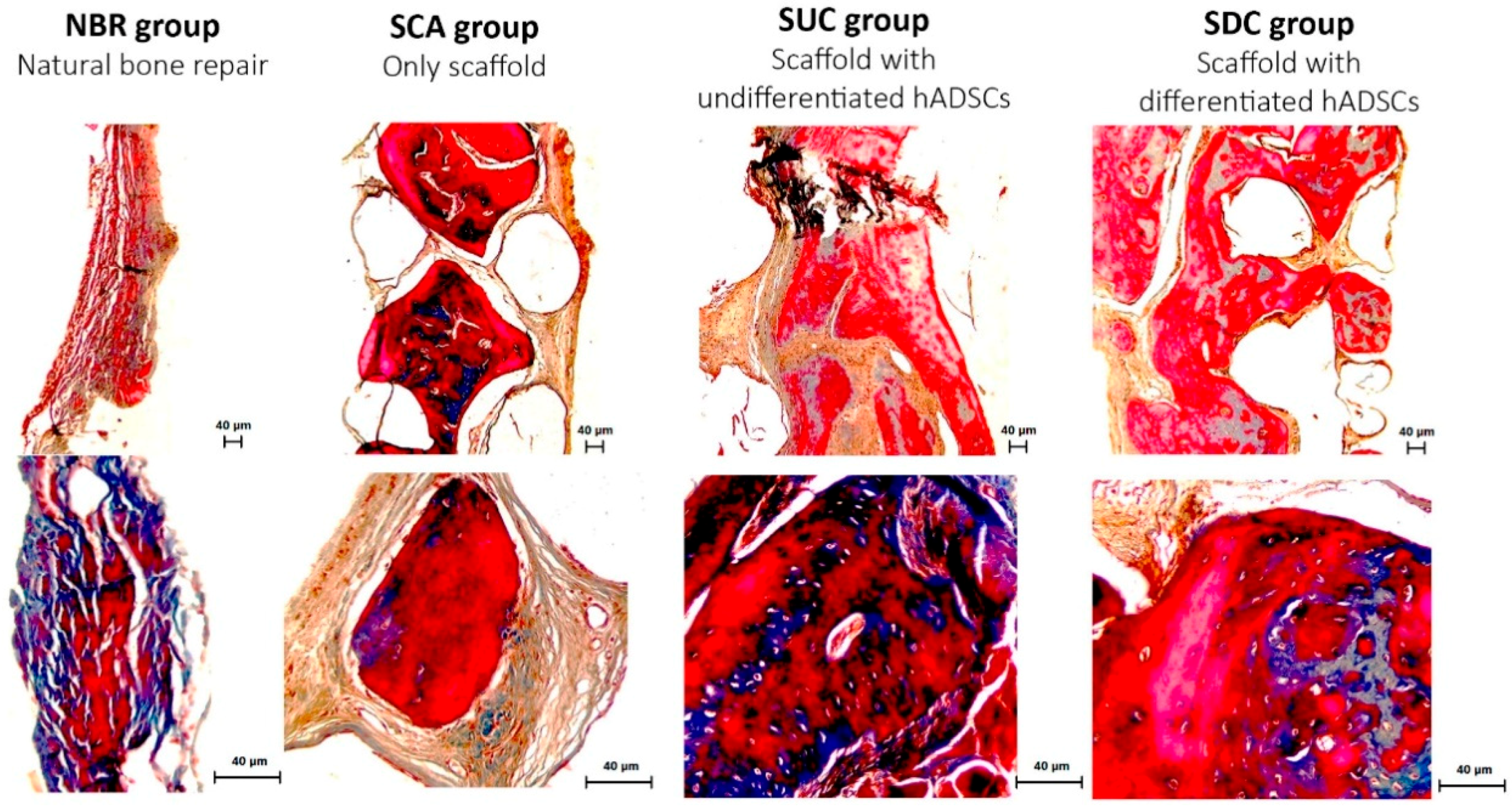 Materials 12 02268 g005 Materials 12 02268 g005