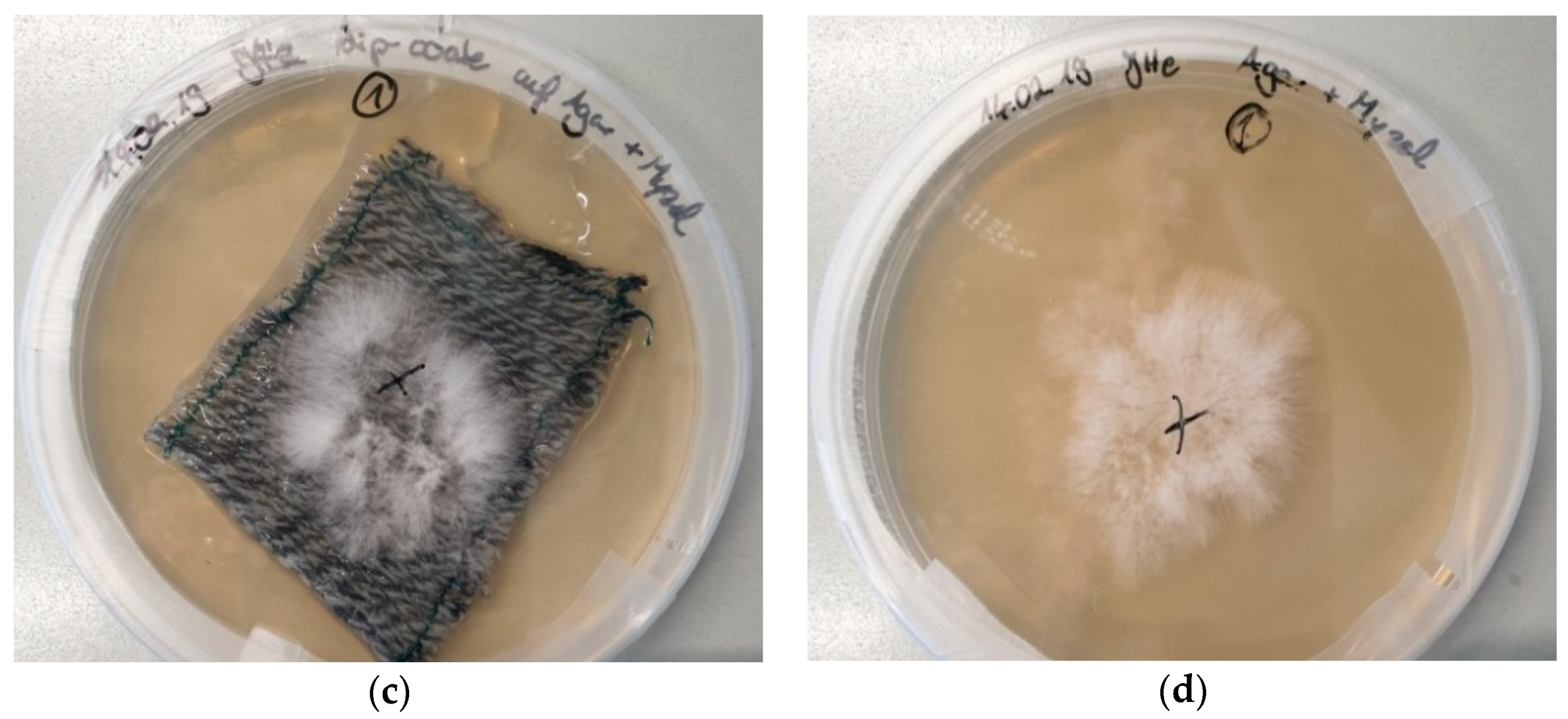 Materials 12 02270 g002b