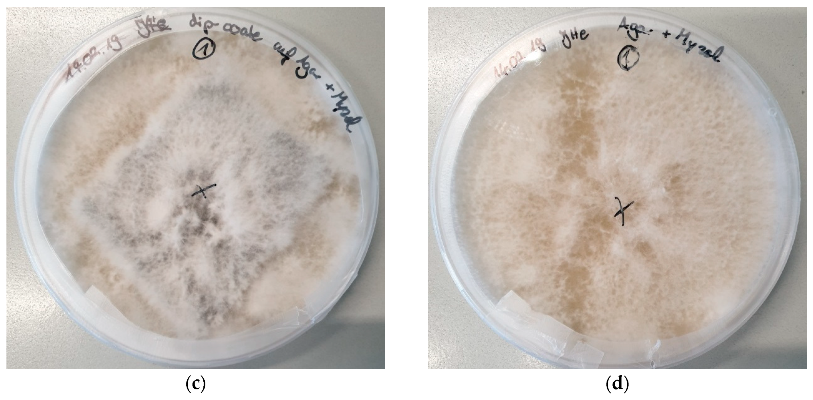 Materials 12 02270 g003b