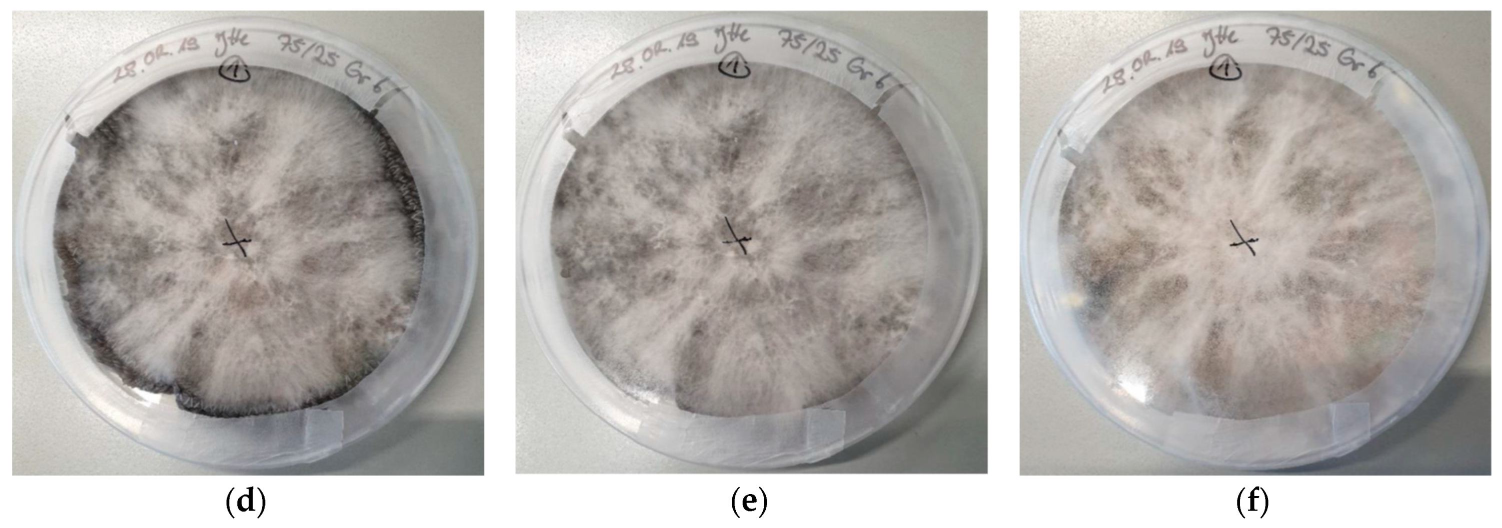 Materials 12 02270 g004b