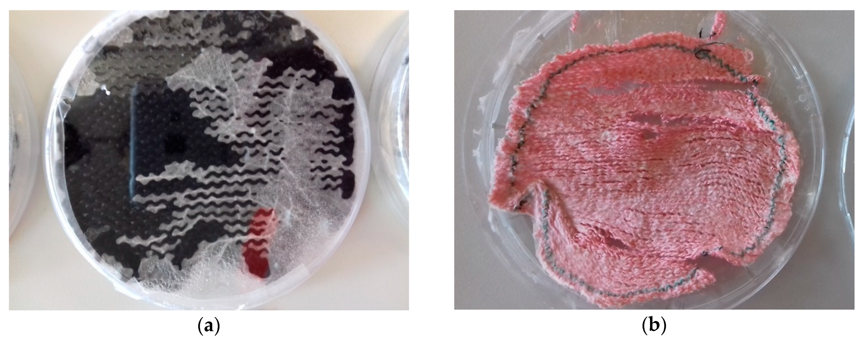 Materials 12 02270 g008