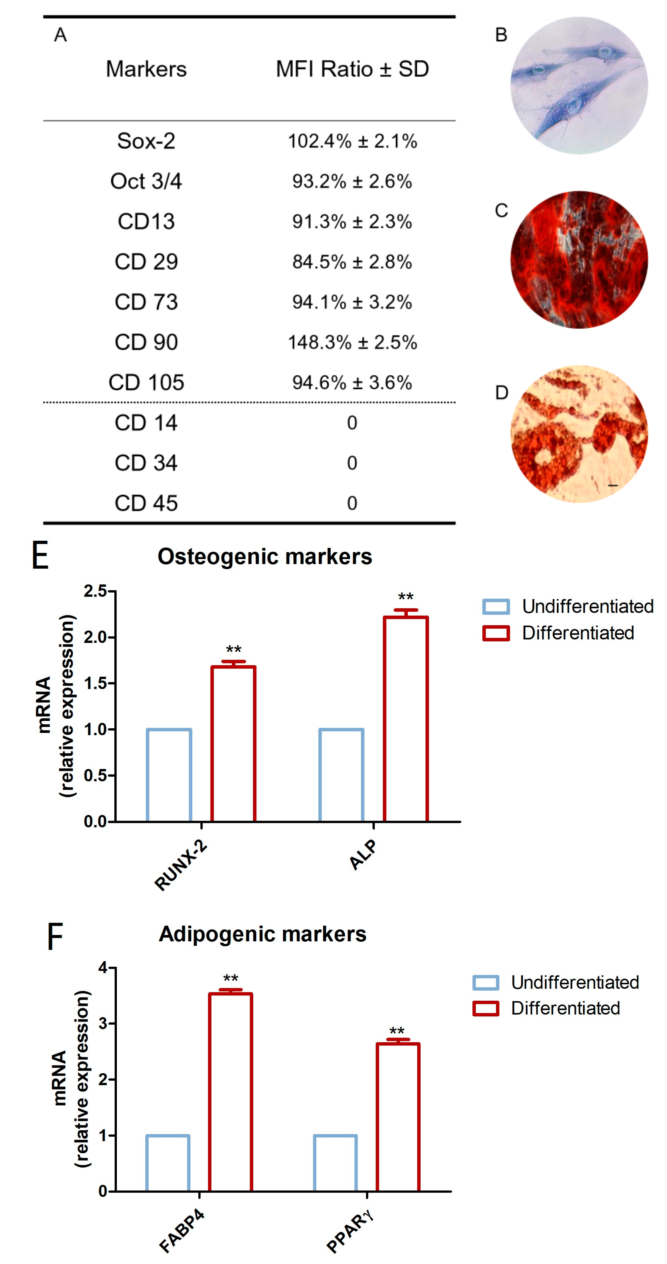 Materials 12 02285 g002