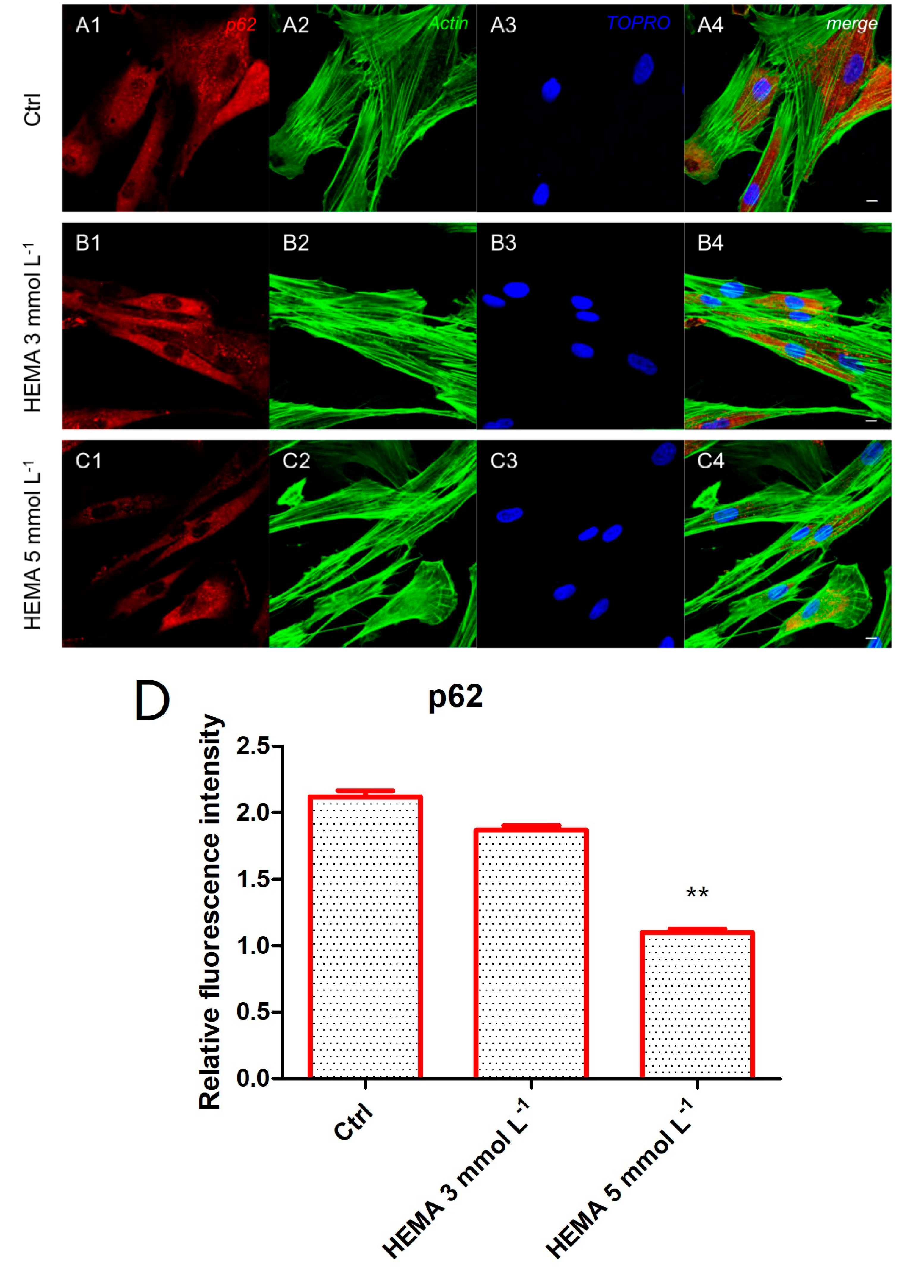 Materials 12 02285 g004