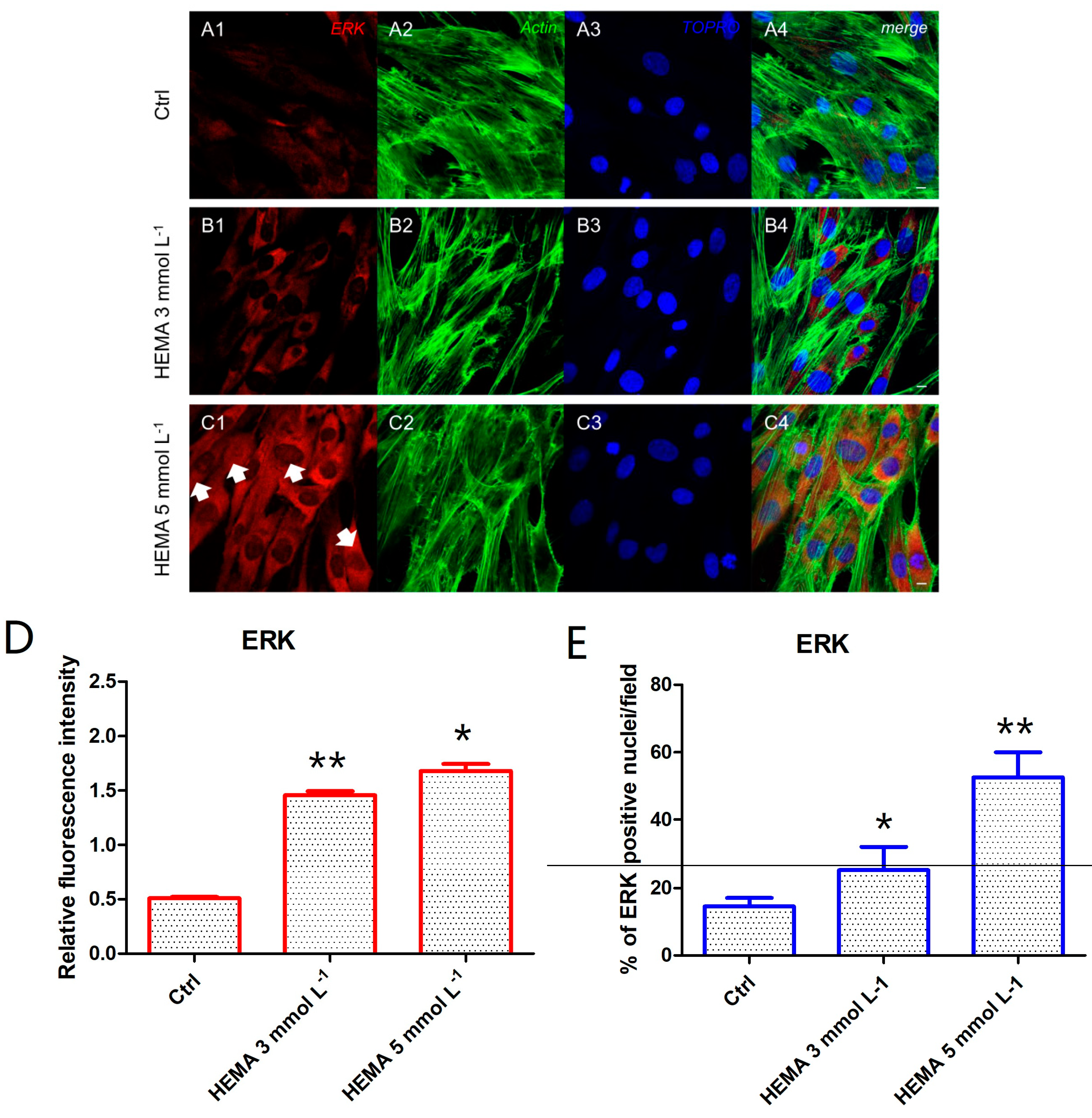 Materials 12 02285 g005