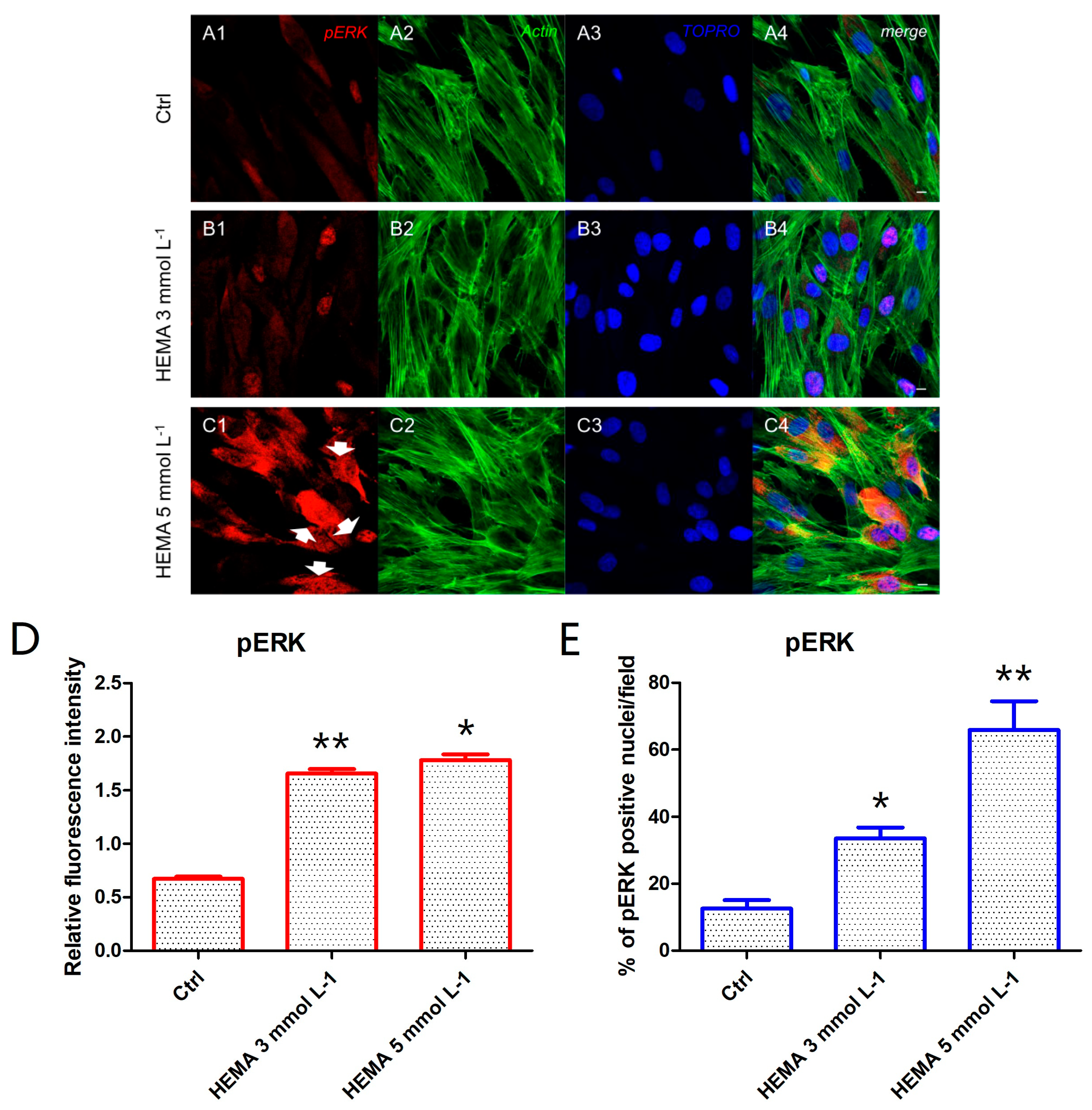 Materials 12 02285 g006