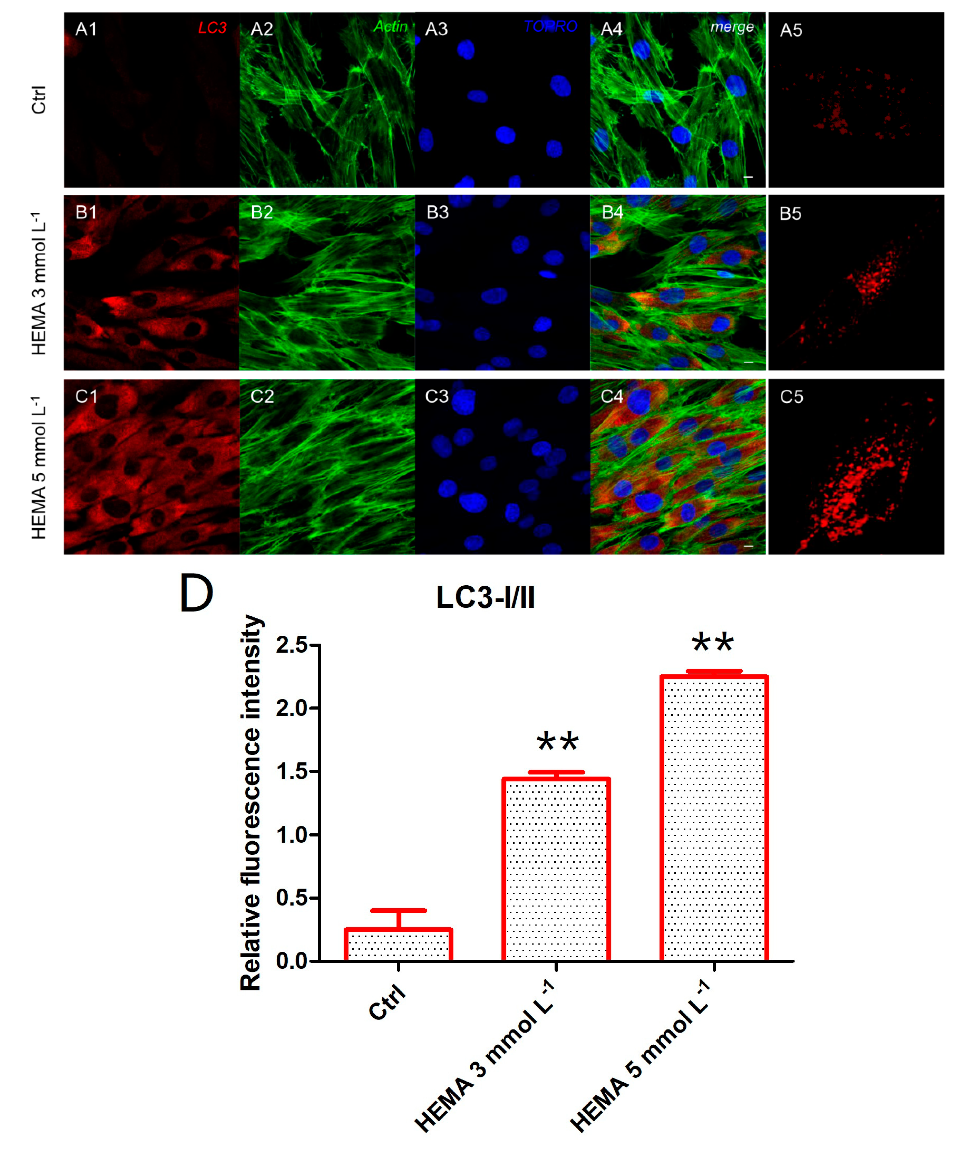 Materials 12 02285 g007