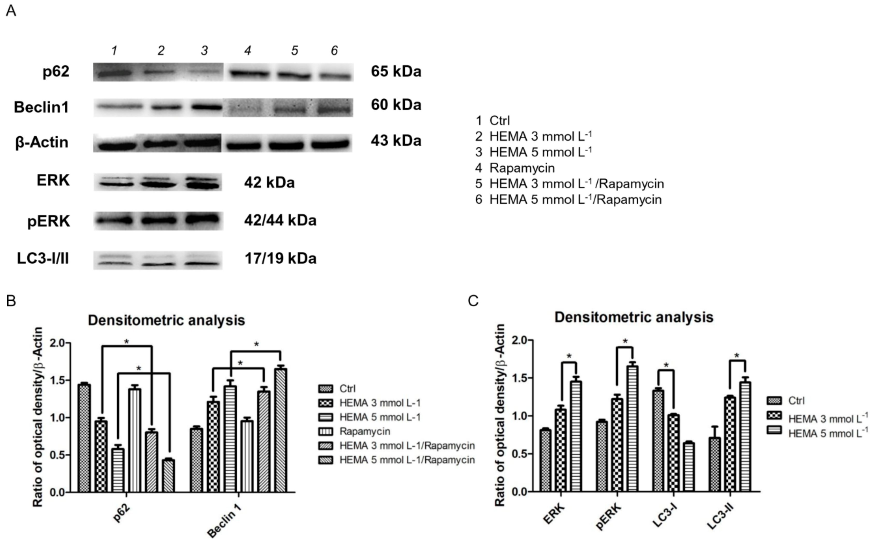 Materials 12 02285 g008