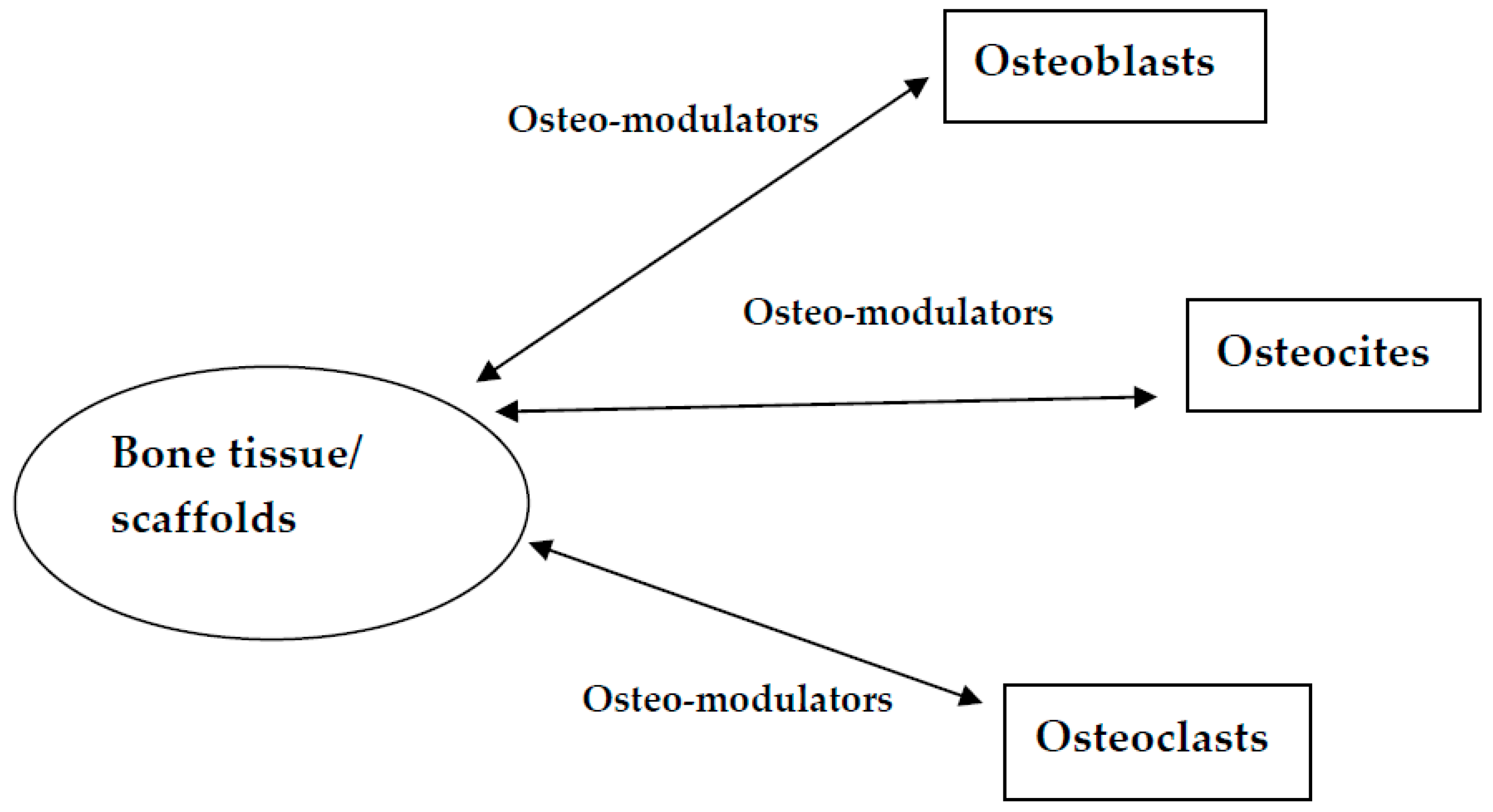 Materials 12 02296 g001