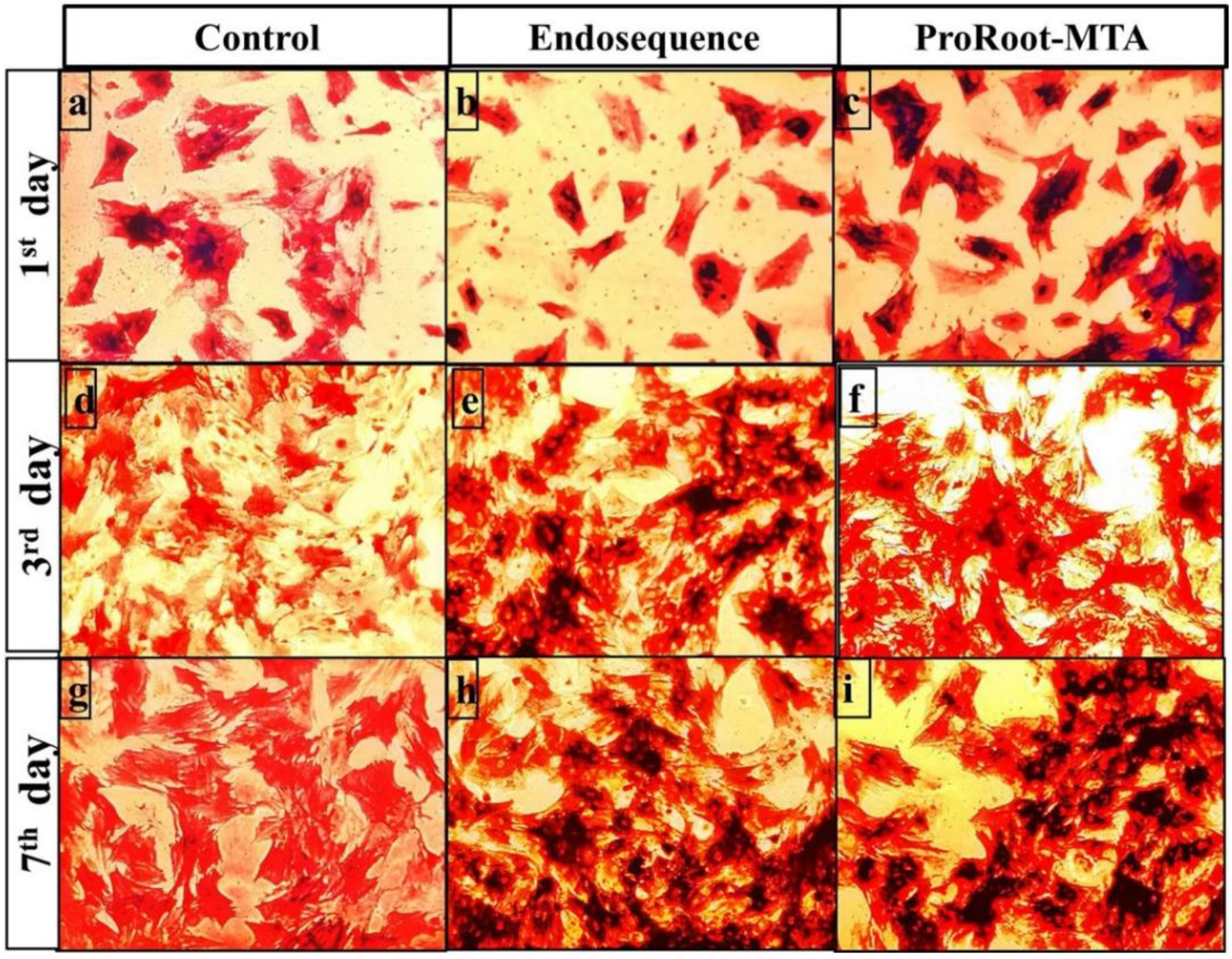 Materials 12 02311 g003 Materials 12 02311 g003