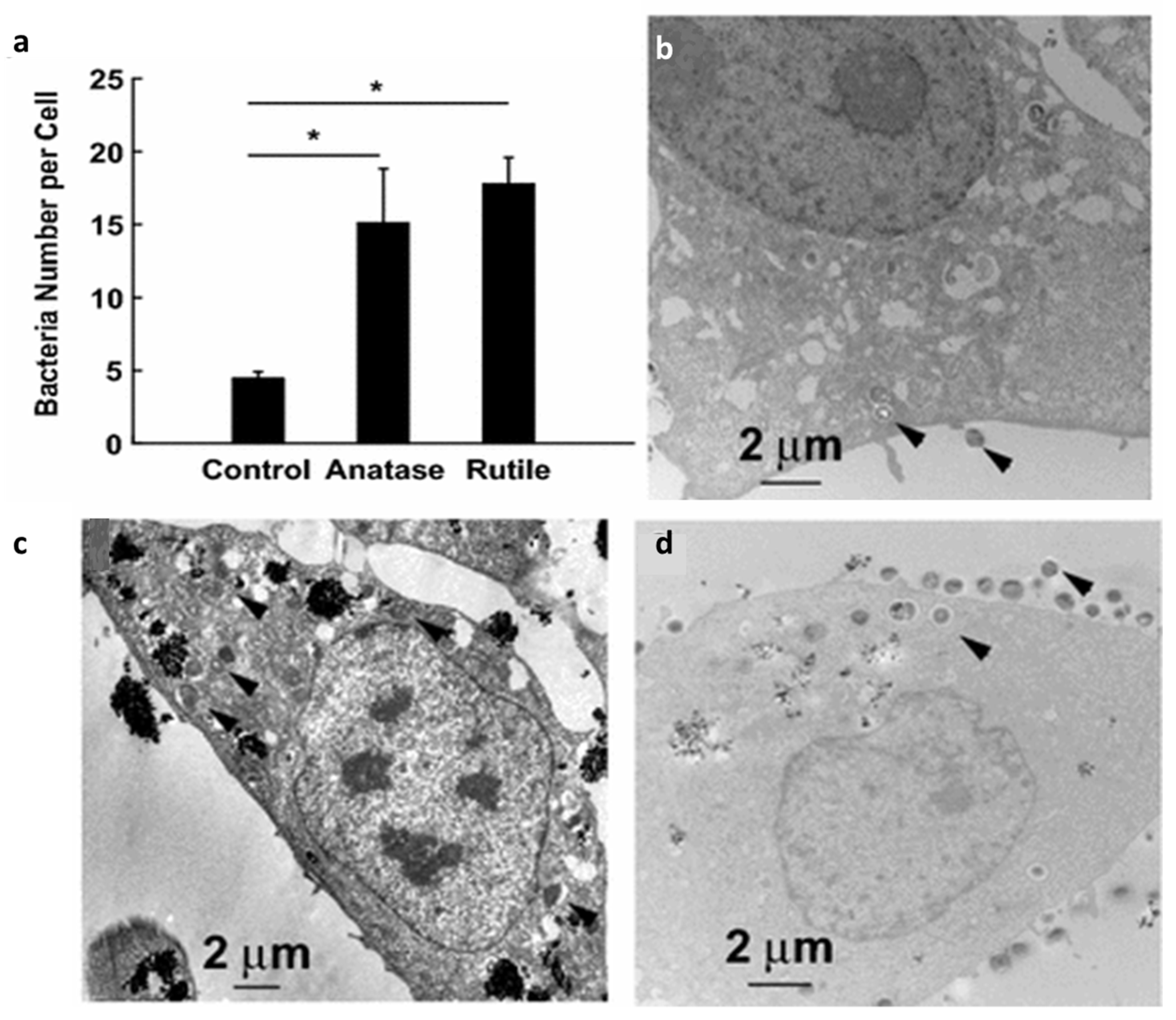 Materials 12 02317 g005
