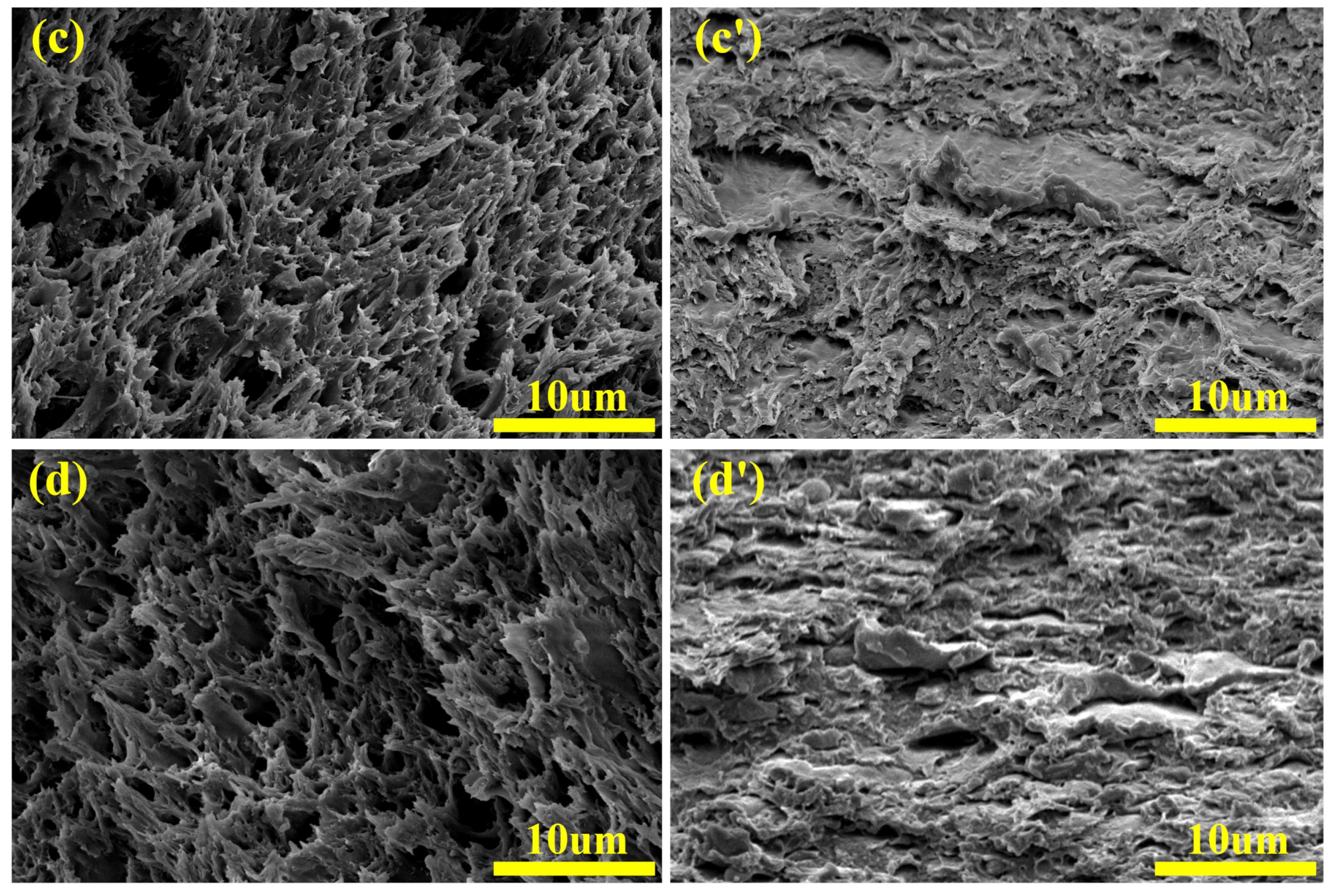 Materials 12 02352 g006b