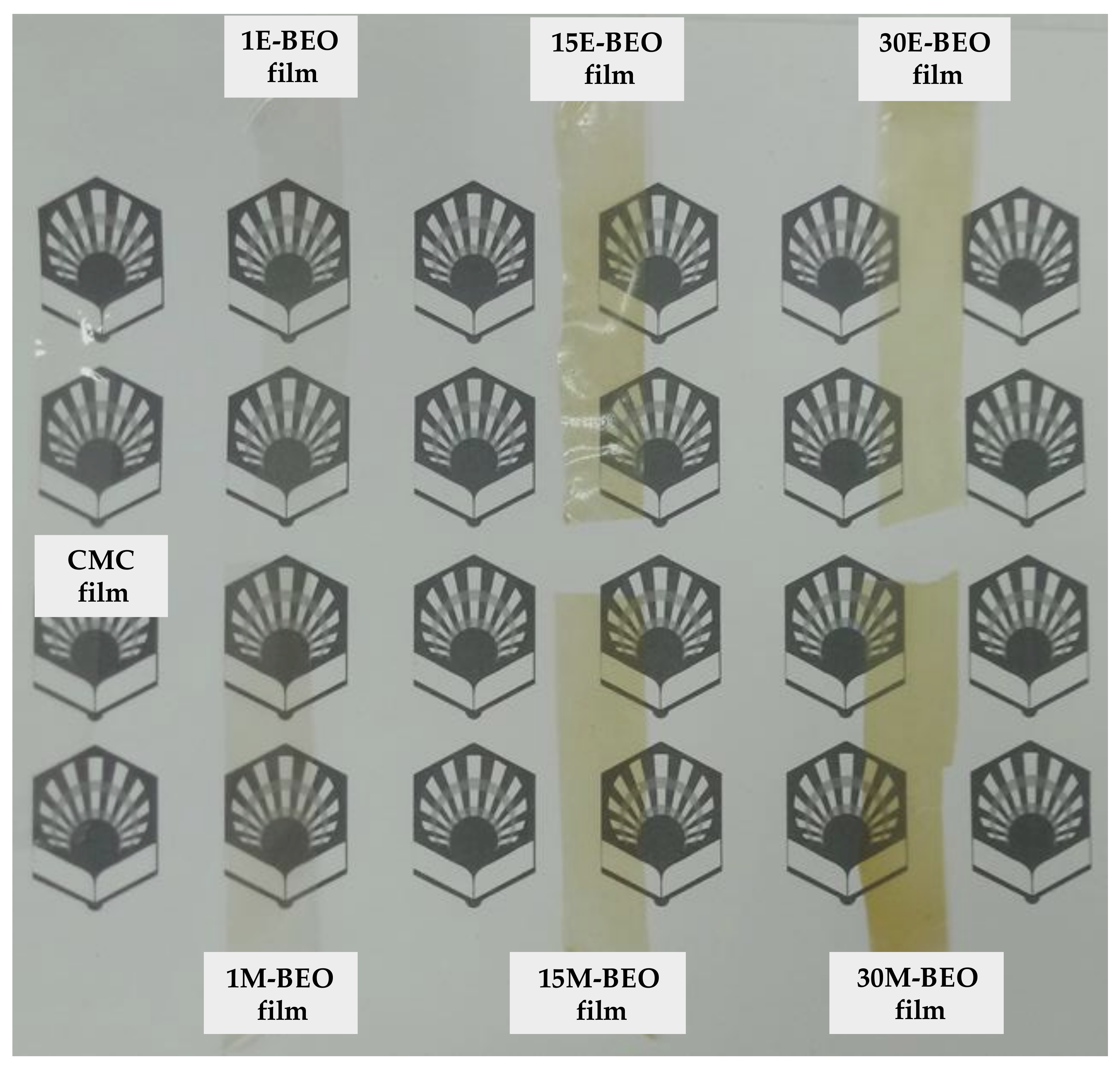Materials 12 02356 g006