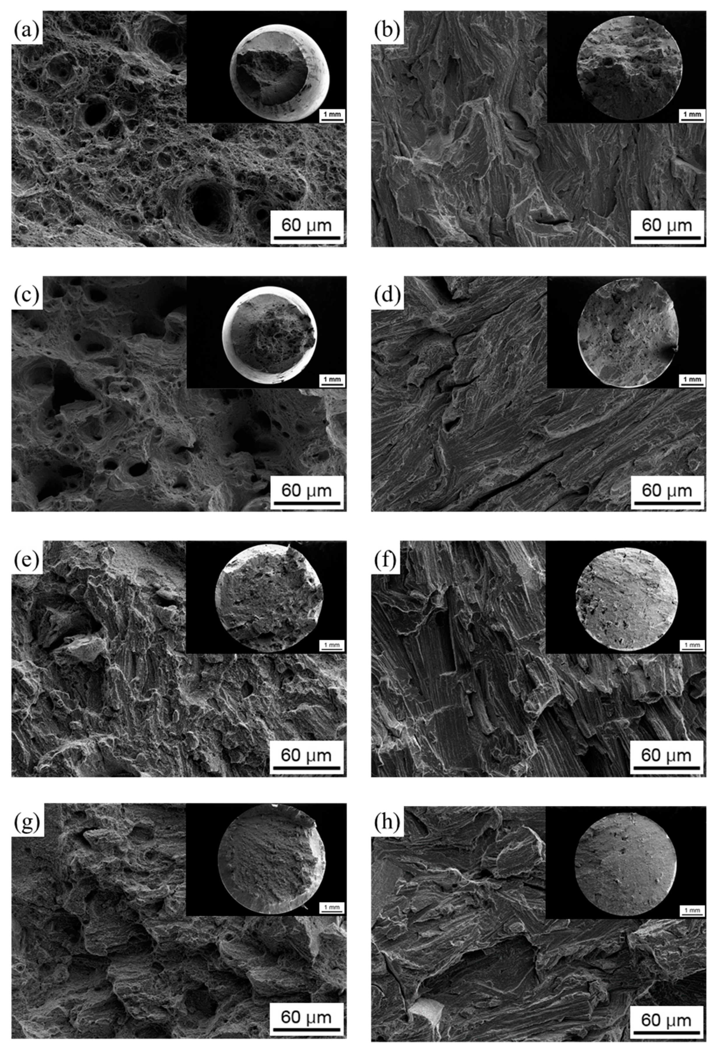 Materials 12 02360 g006 Materials 12 02360 g006