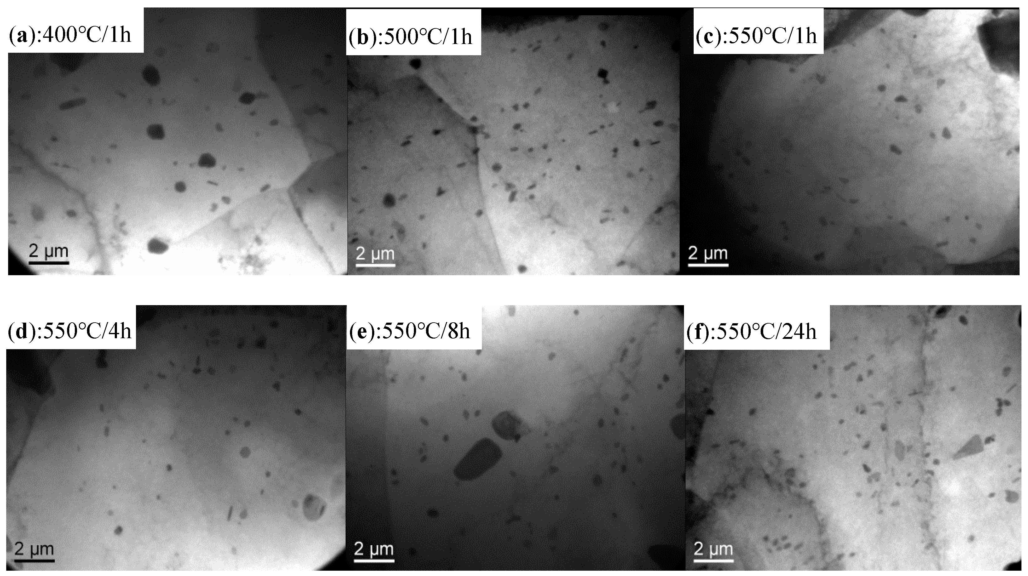 Materials 12 02368 g003 Materials 12 02368 g003