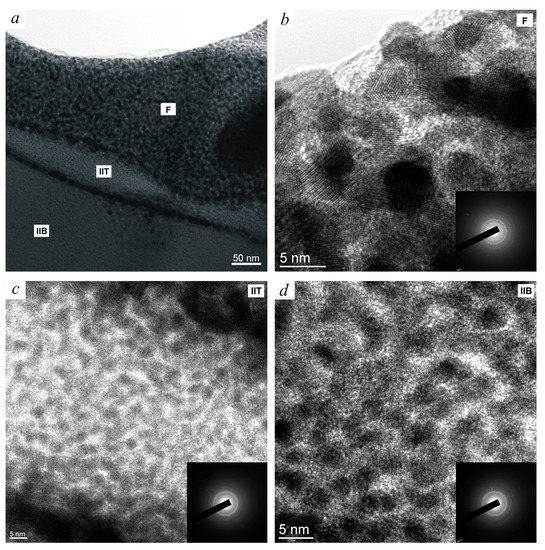 Biocompatibility and Clinical Application of Porous TiNi