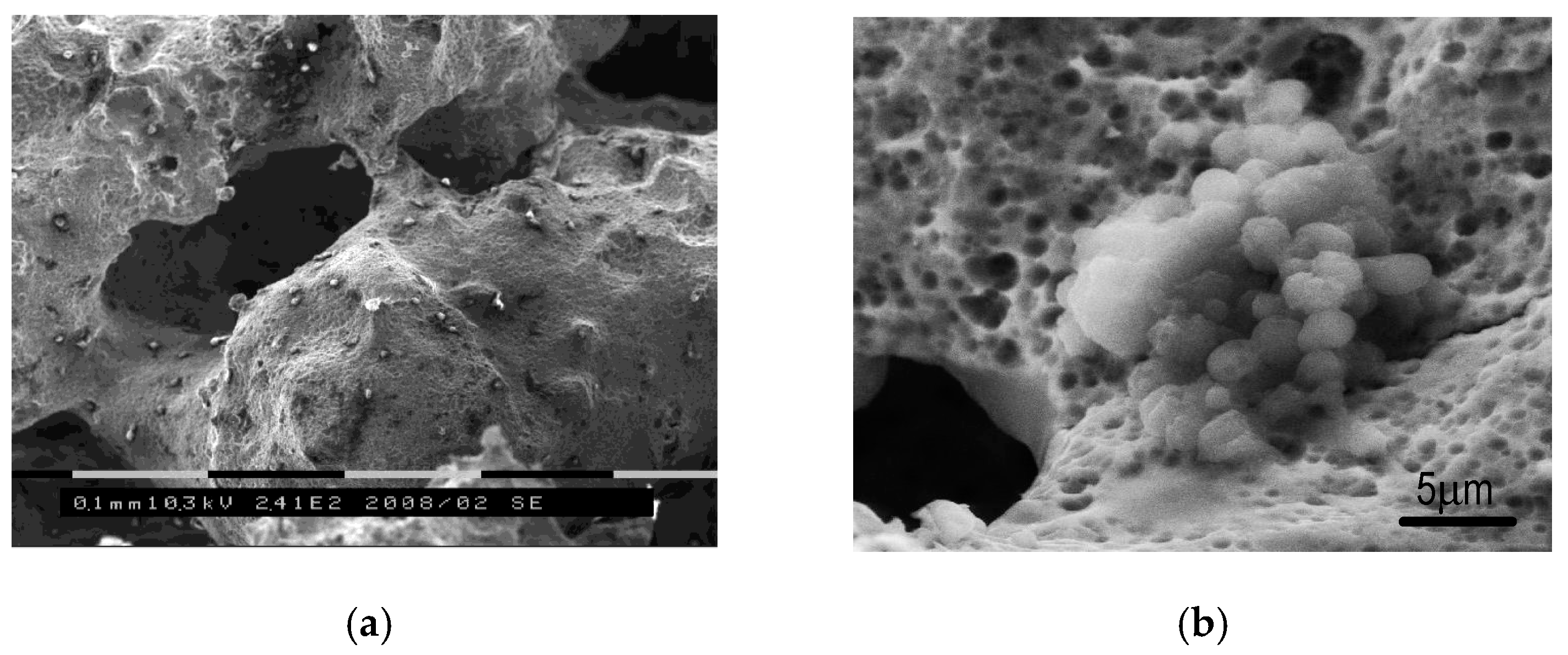 Materials 12 02405 g007