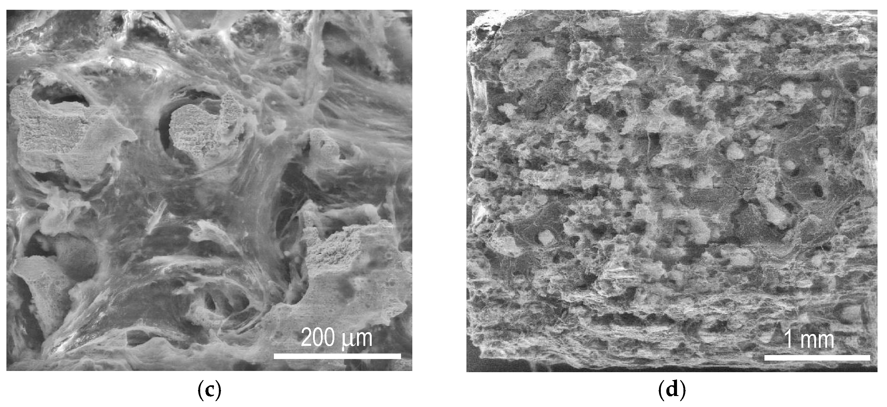 Materials 12 02405 g008b