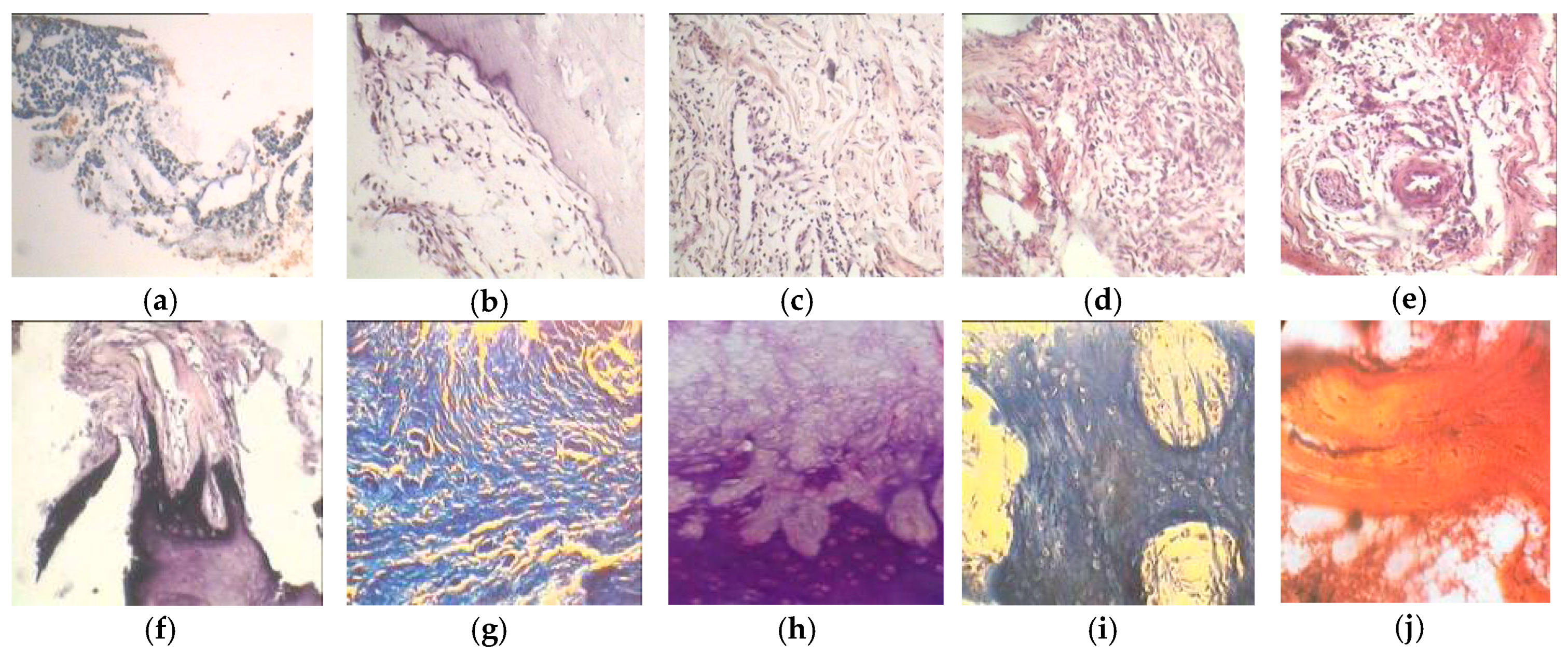 Materials 12 02405 g010