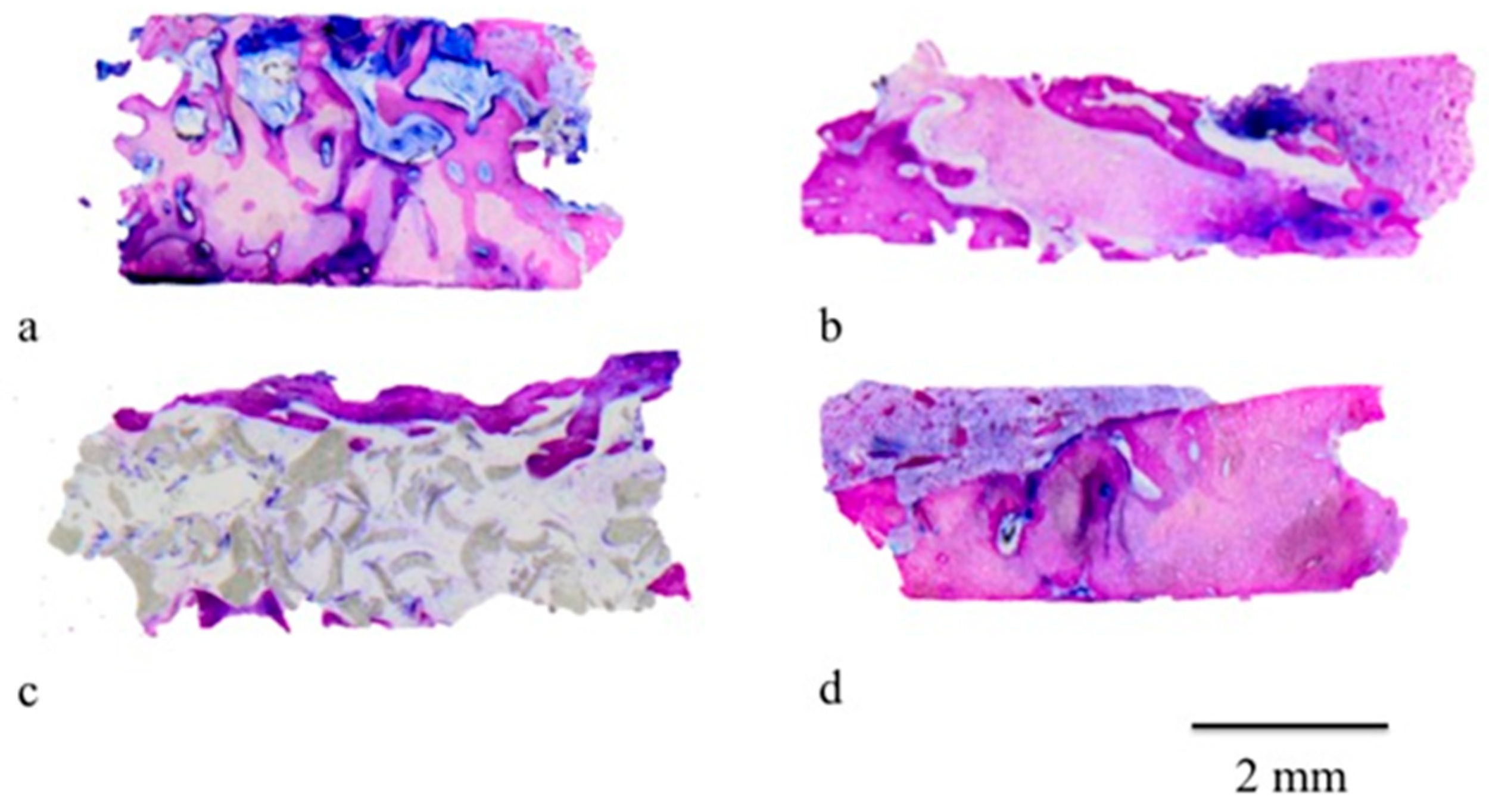 Materials 12 02408 g005 550