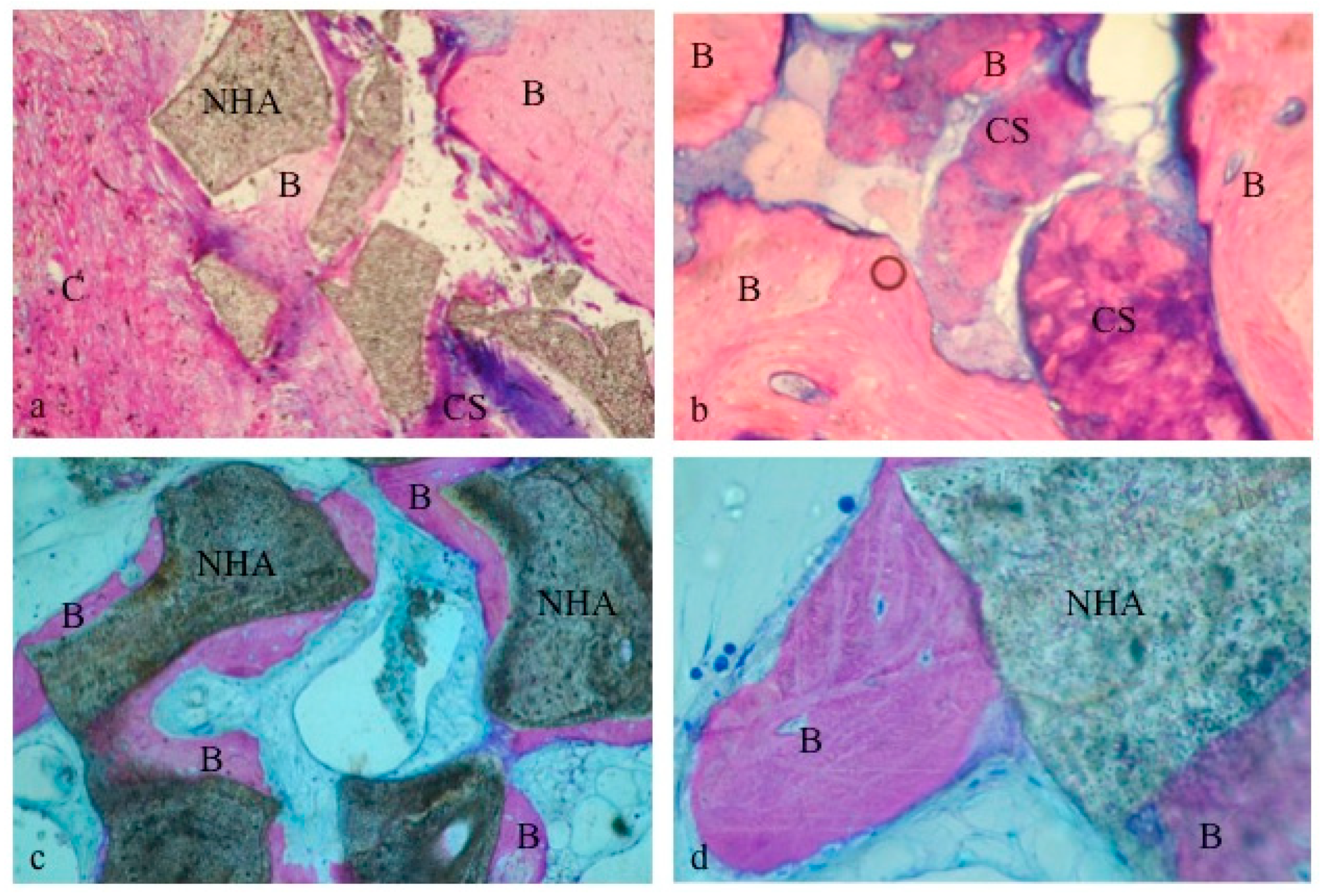 Materials 12 02408 g006 550