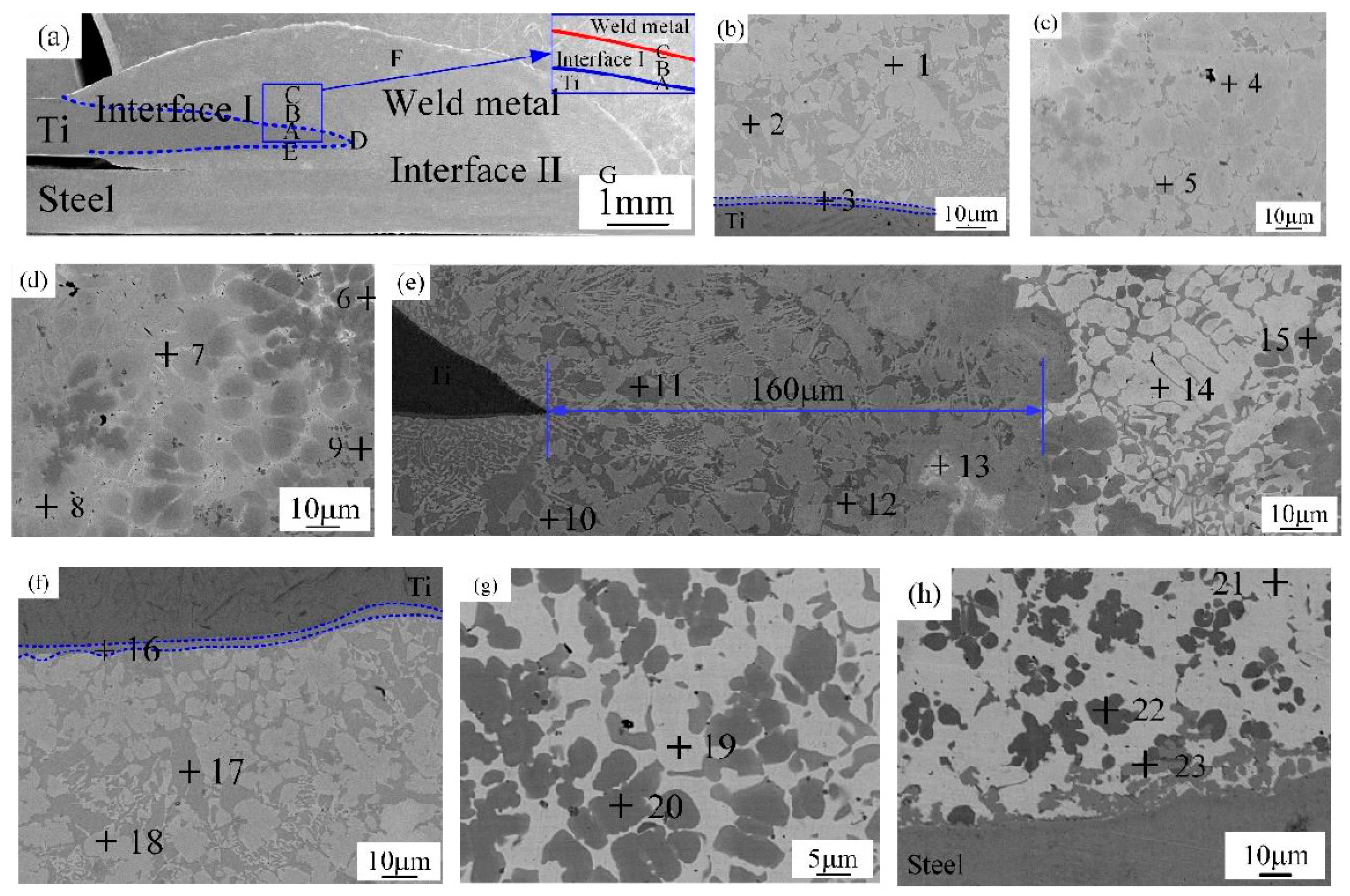 Materials 12 02413 g006