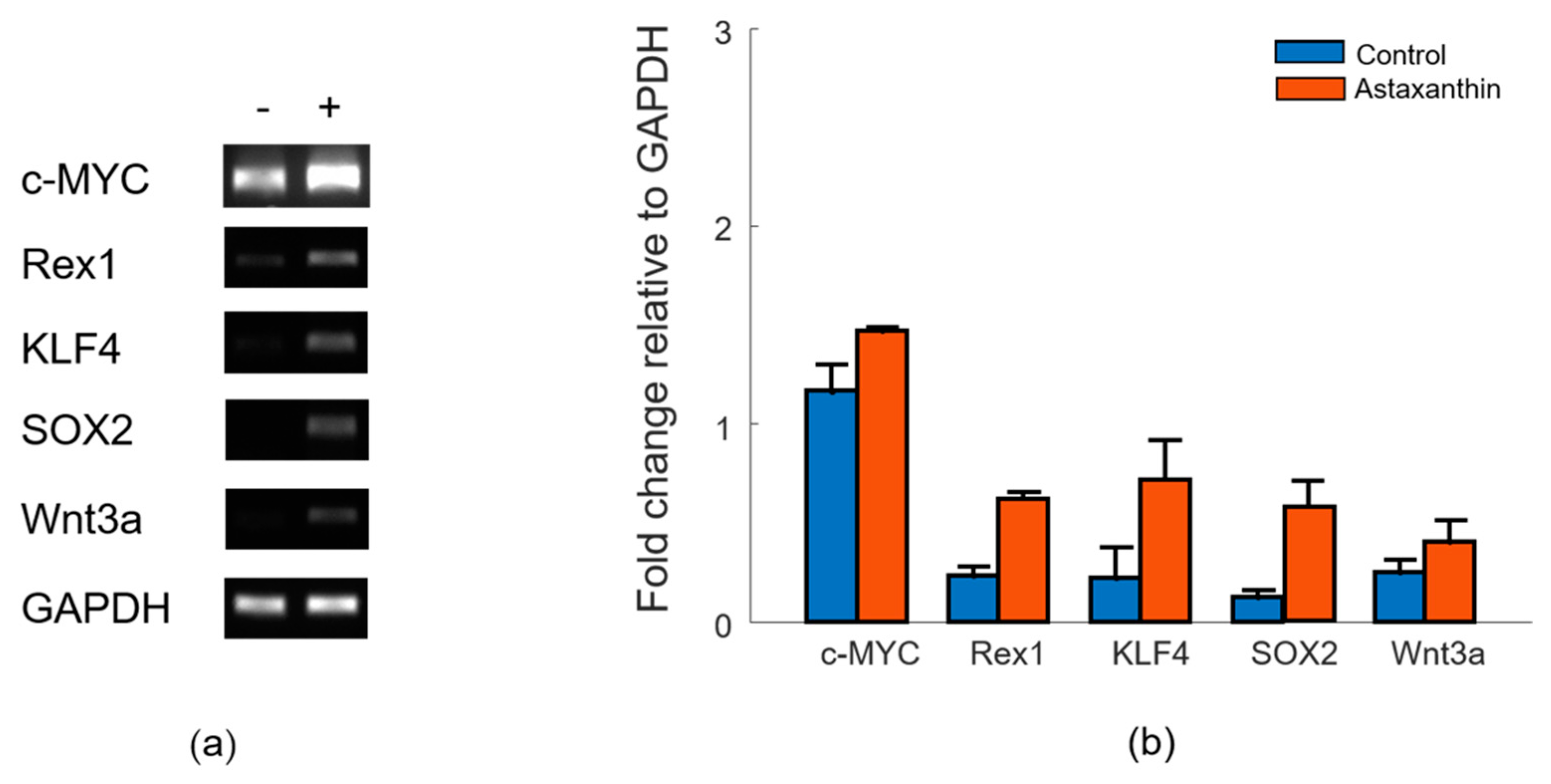 Materials 12 02416 g002 Materials 12 02416 g002