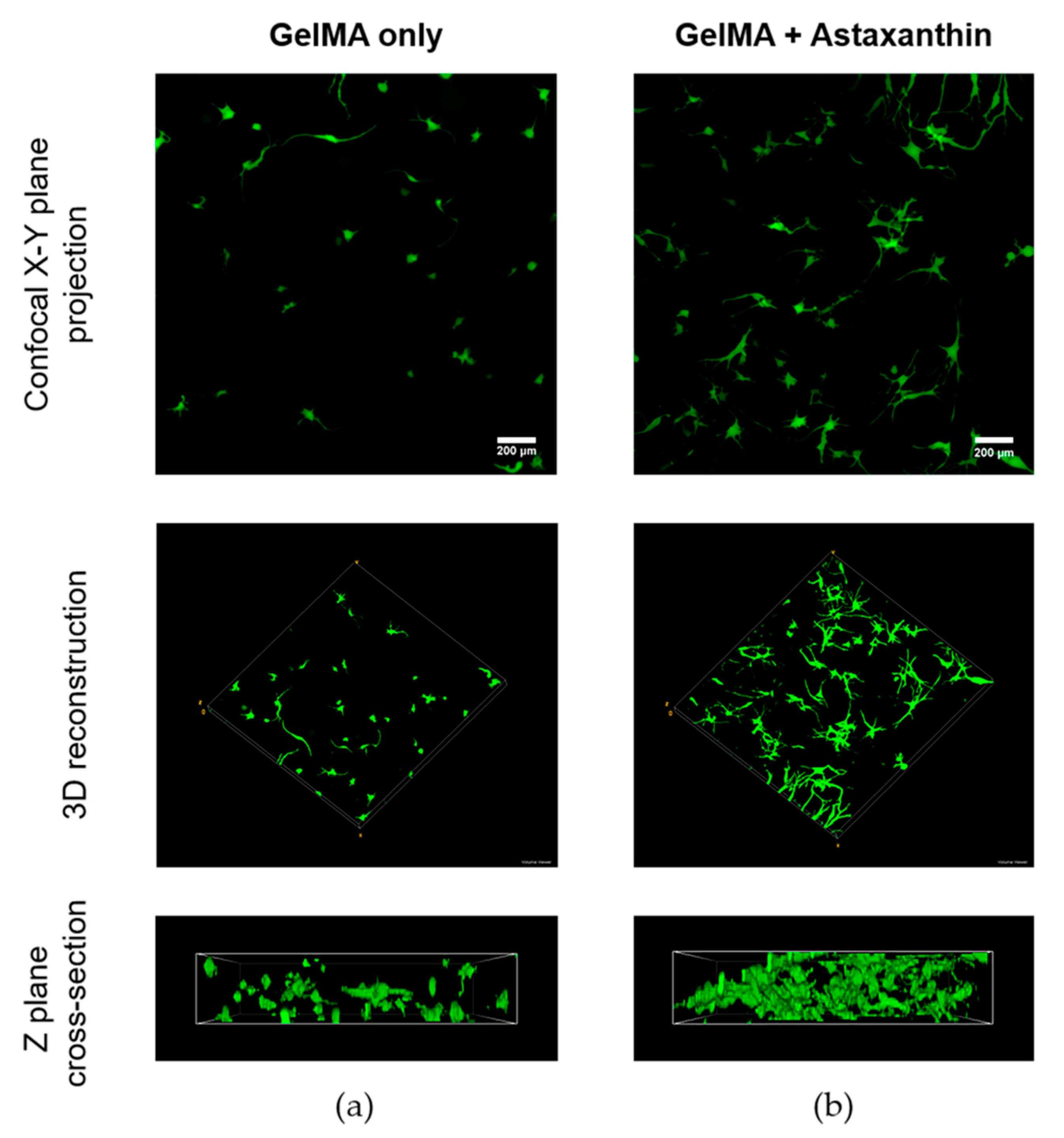 Materials 12 02416 g008 Materials 12 02416 g008