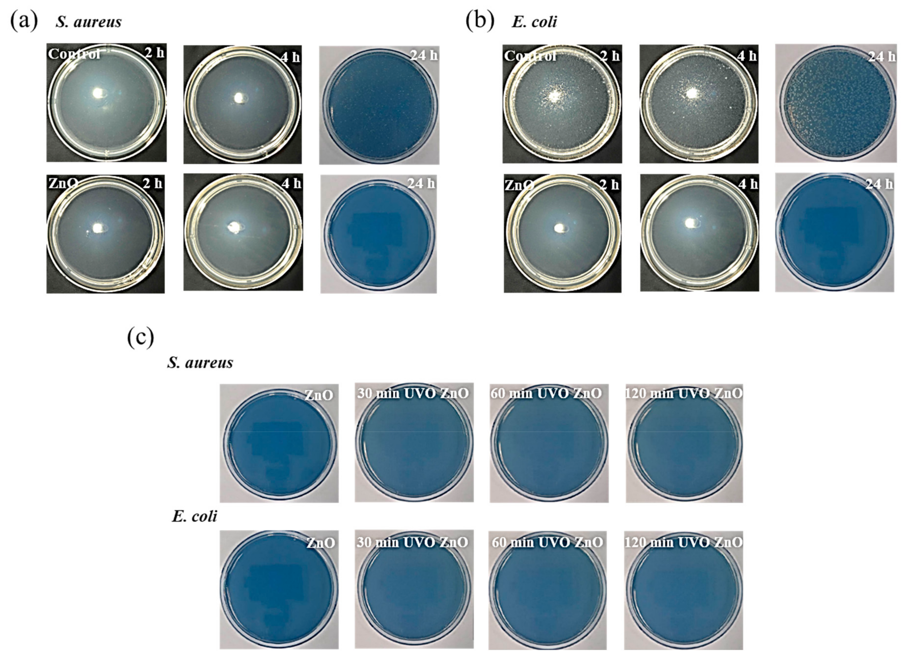 Materials 12 02422 g004 Materials 12 02422 g004