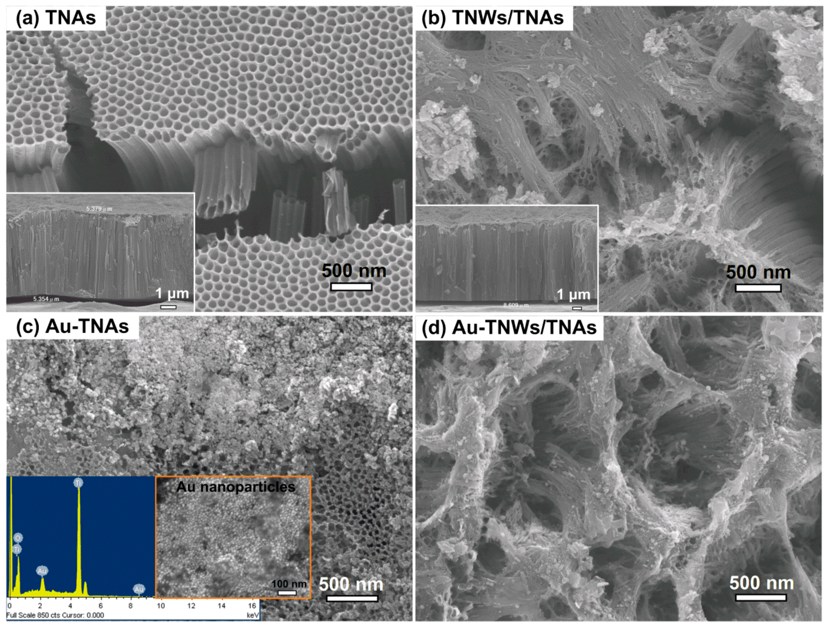 Materials 12 02434 g002