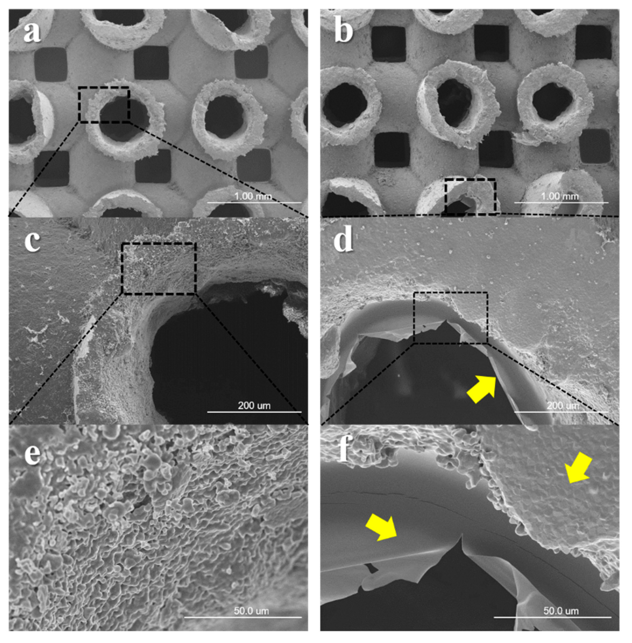 Materials 12 02435 g005 Materials 12 02435 g005