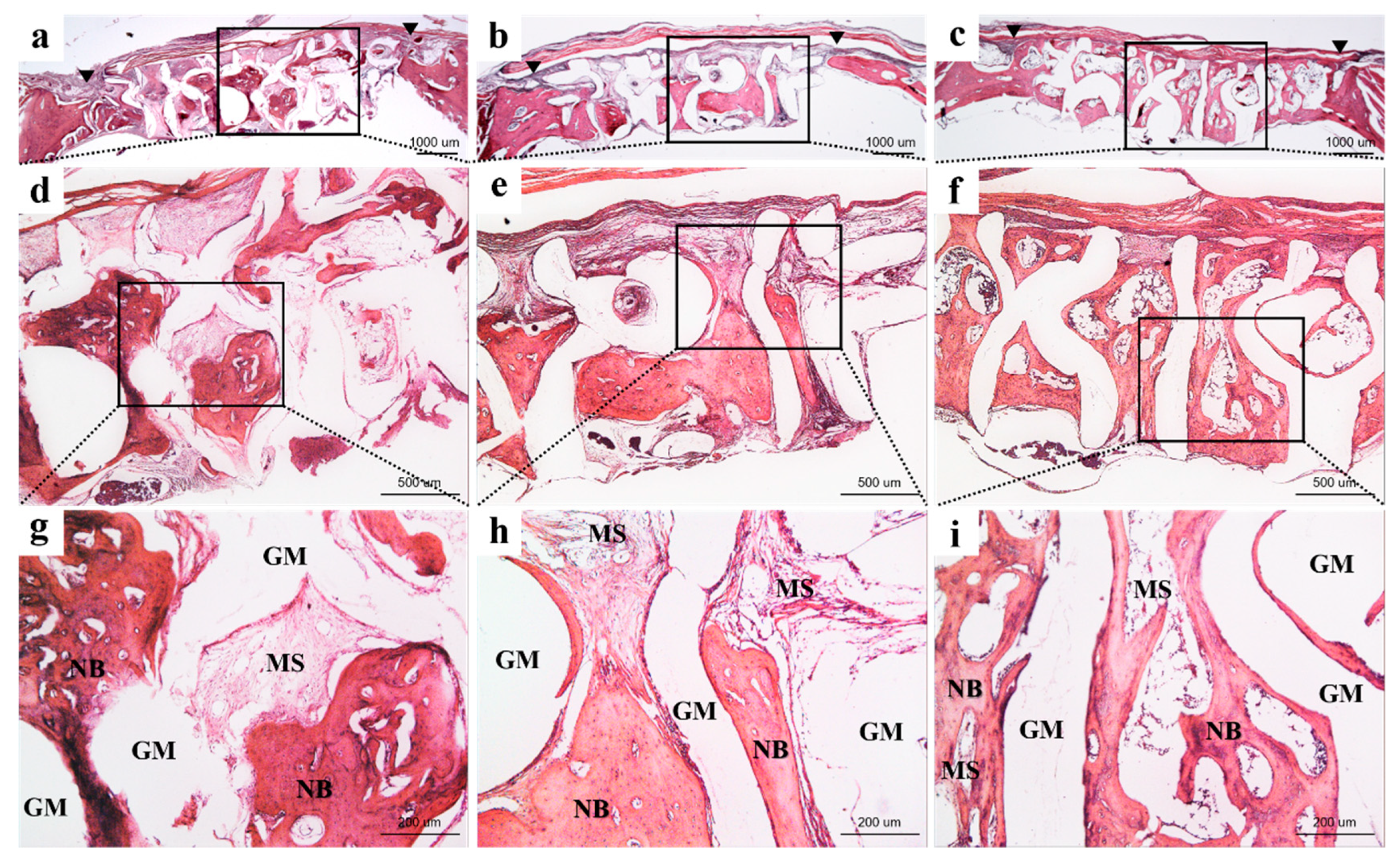Materials 12 02435 g007 Materials 12 02435 g007