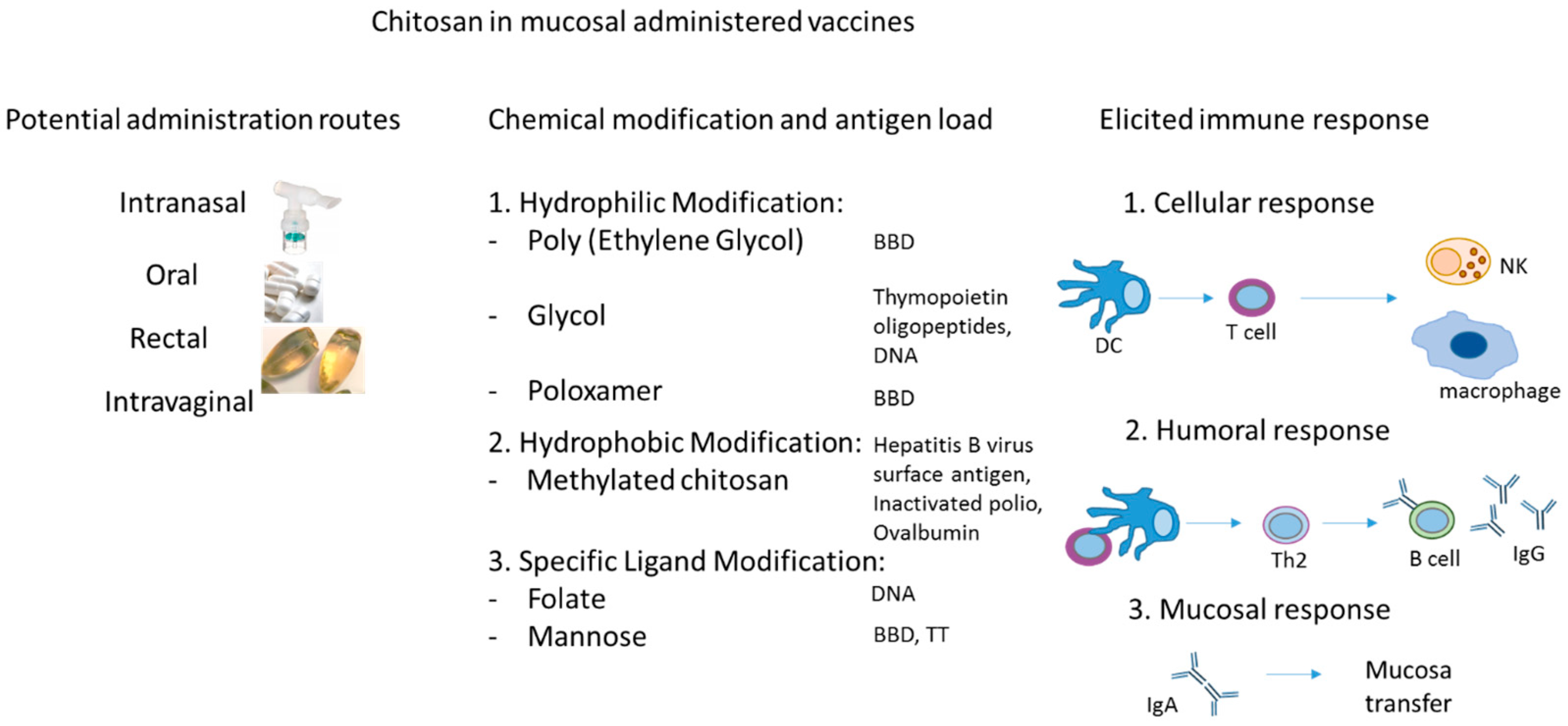 Materials 12 02445 g001