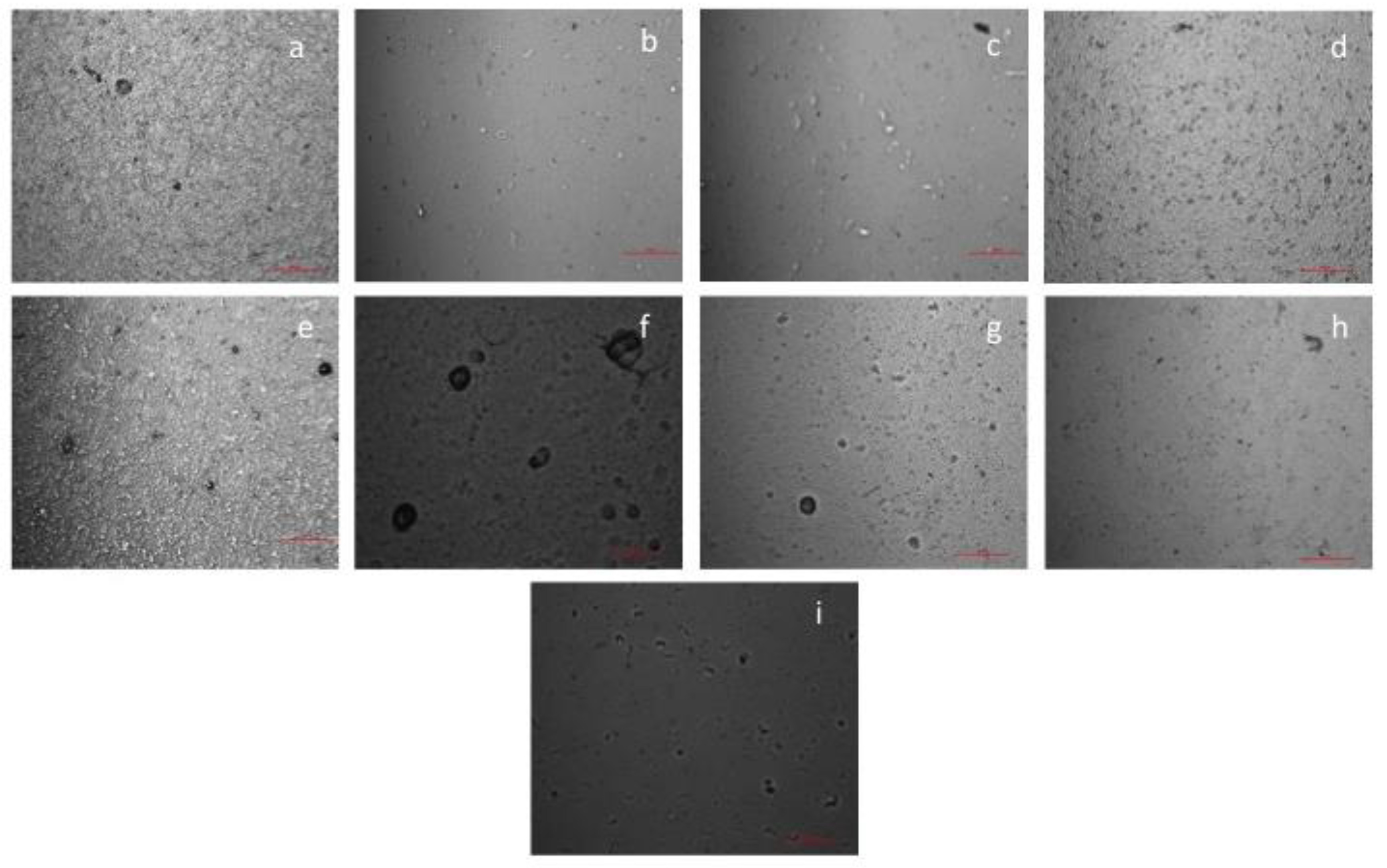 Materials 12 02454 g001 Materials 12 02454 g001