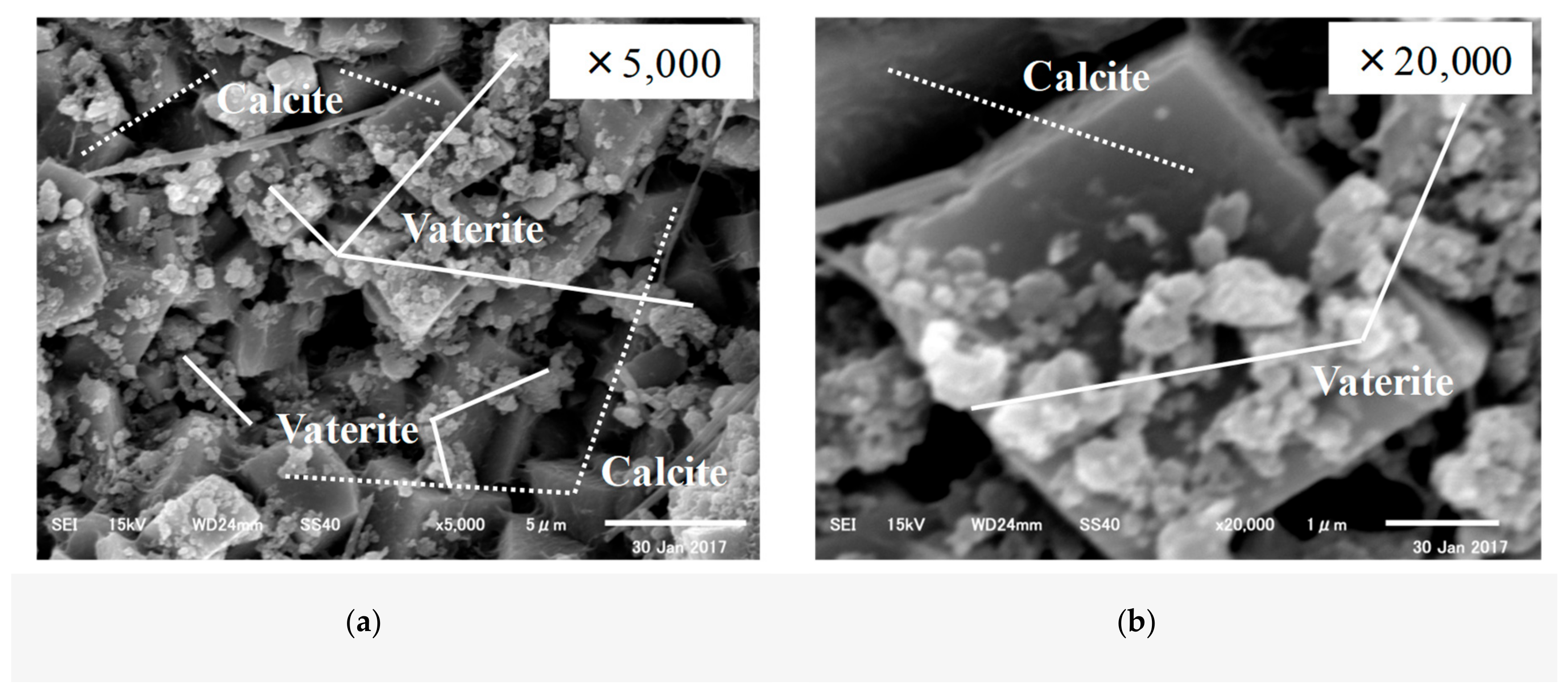 Materials 12 02456 g012