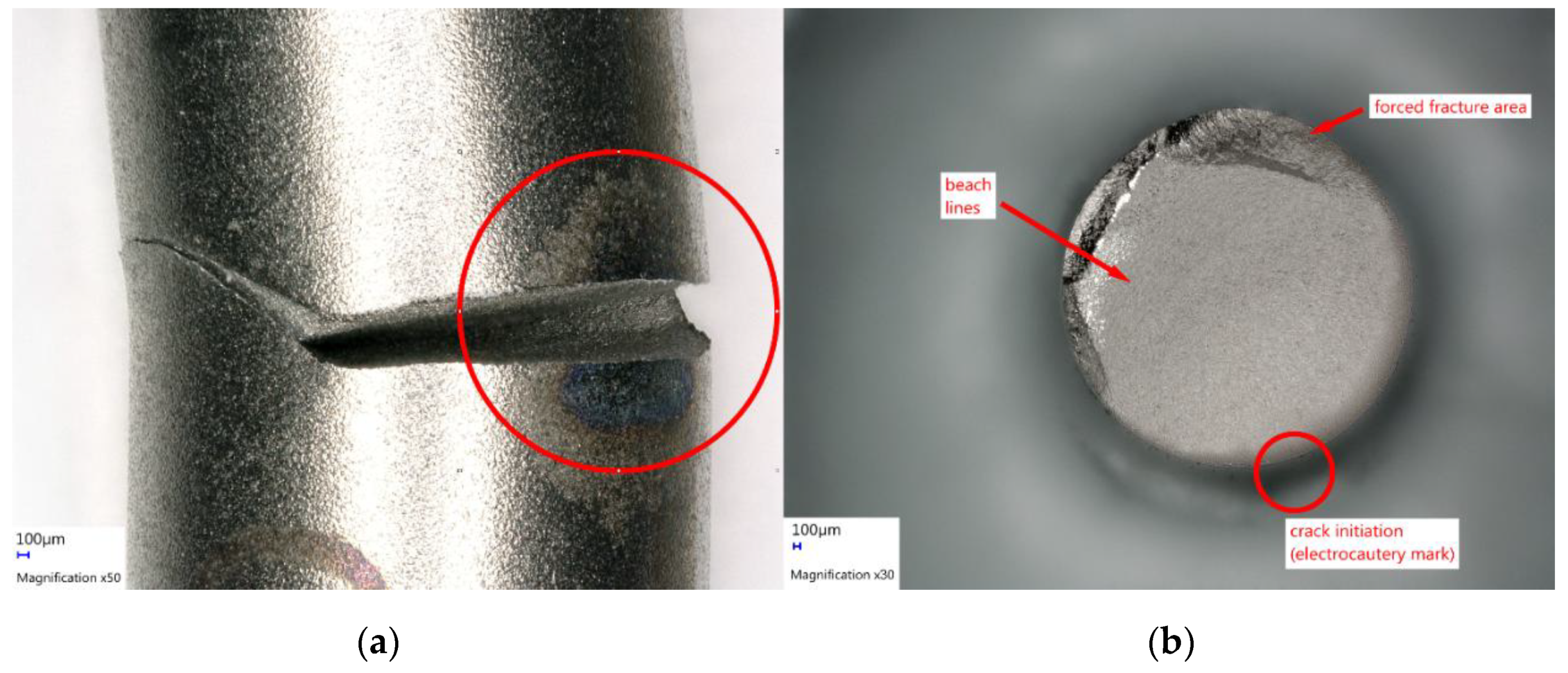 Materials 12 02471 g006