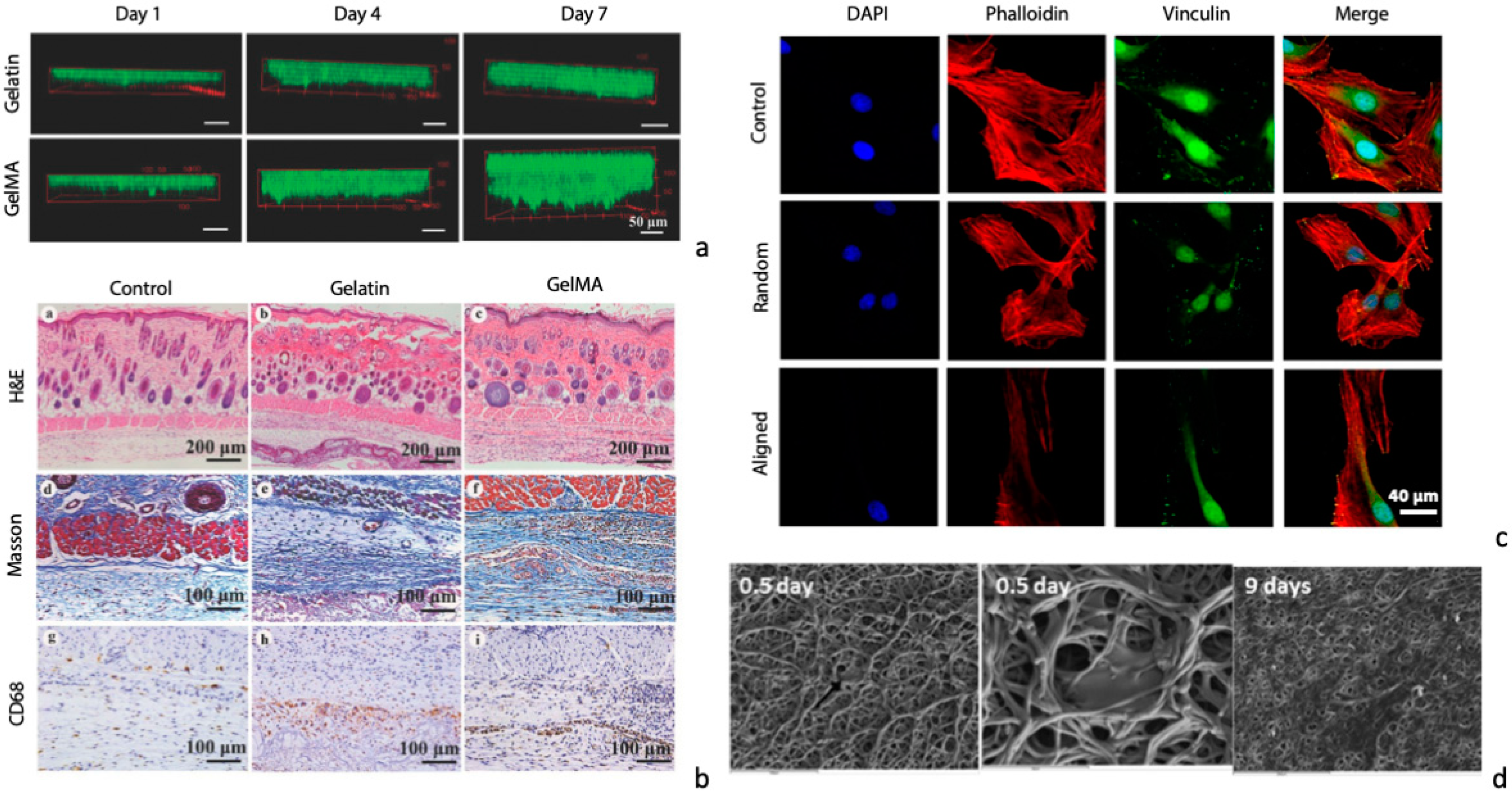 Materials 12 02476 g005 Materials 12 02476 g005