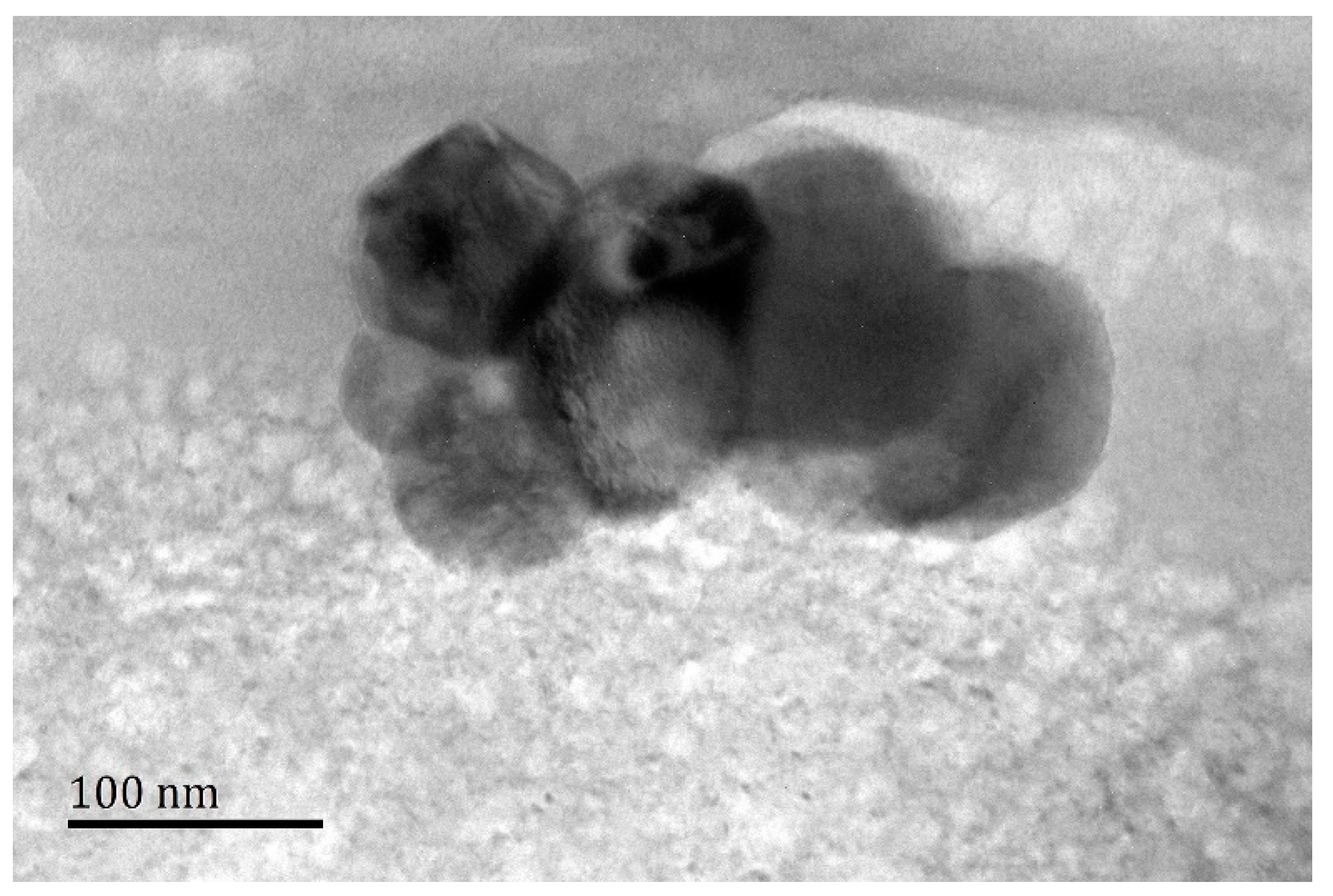 Materials 12 02478 g006