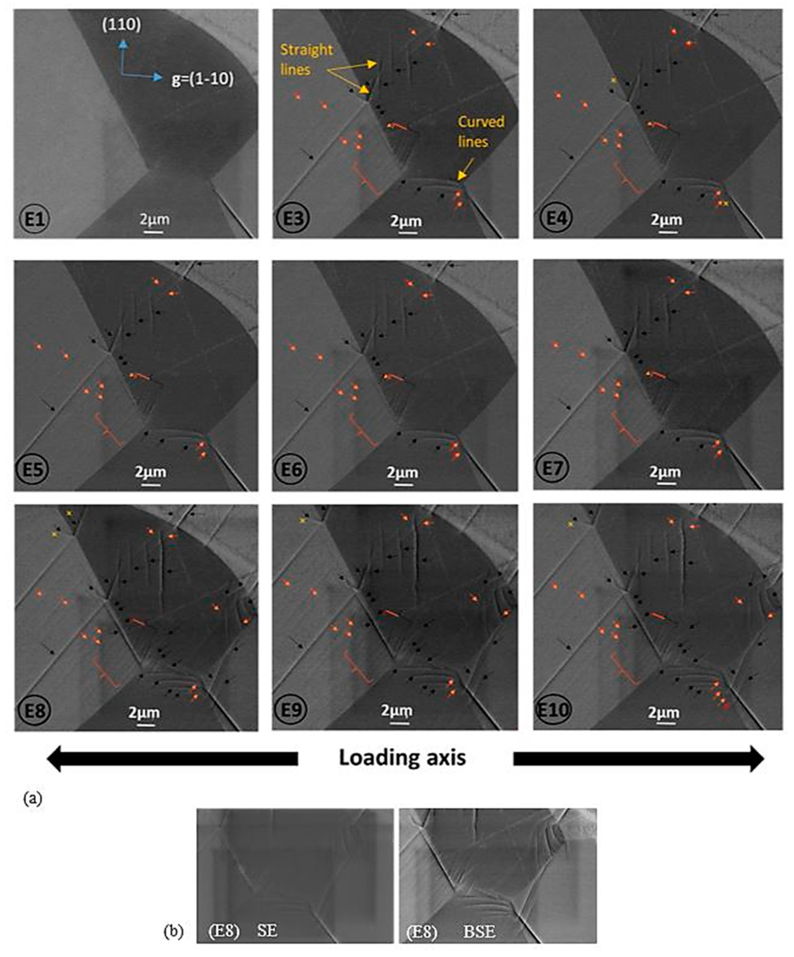 Materials 12 02479 g005