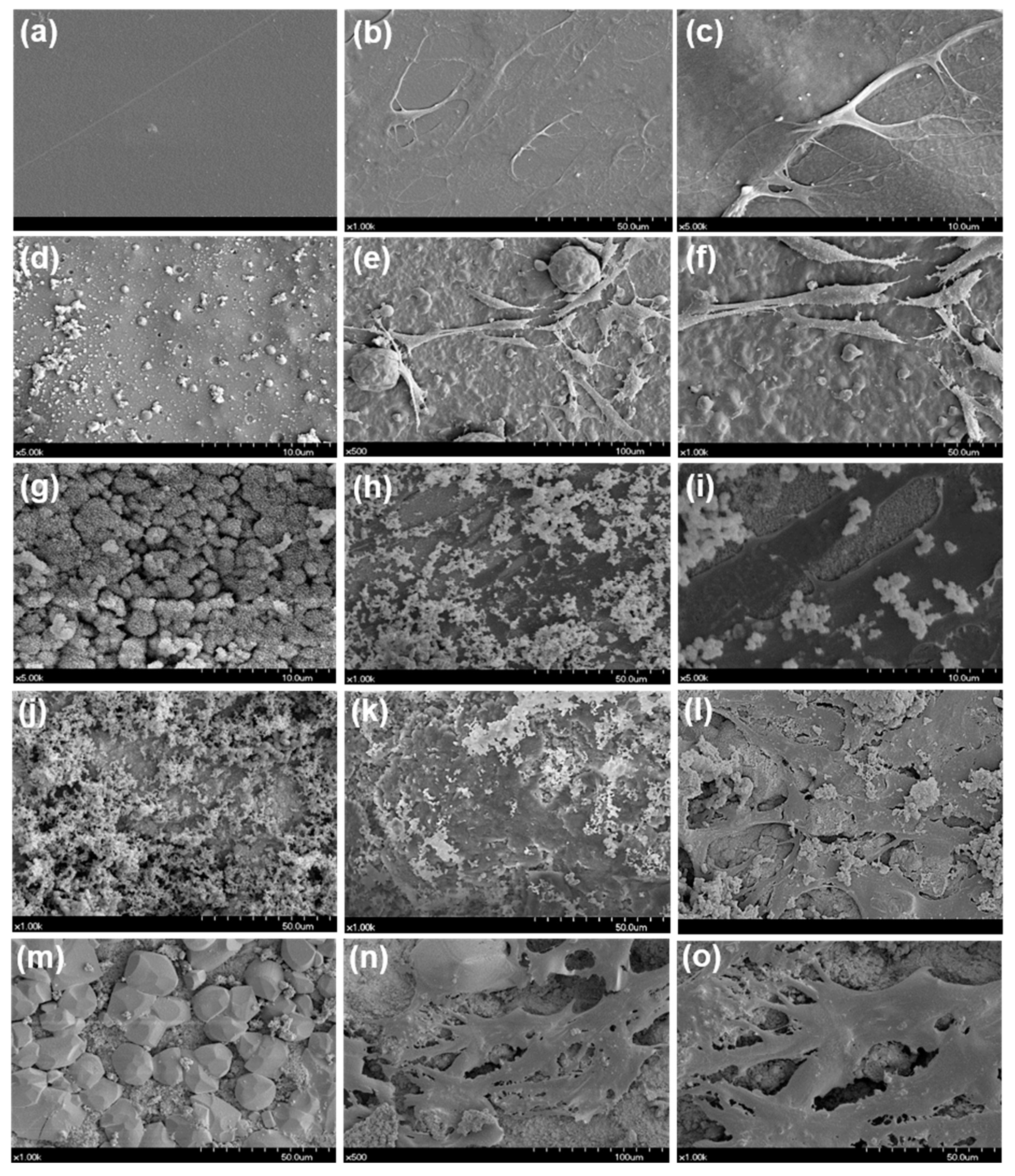 Materials 12 02482 g005 Materials 12 02482 g005