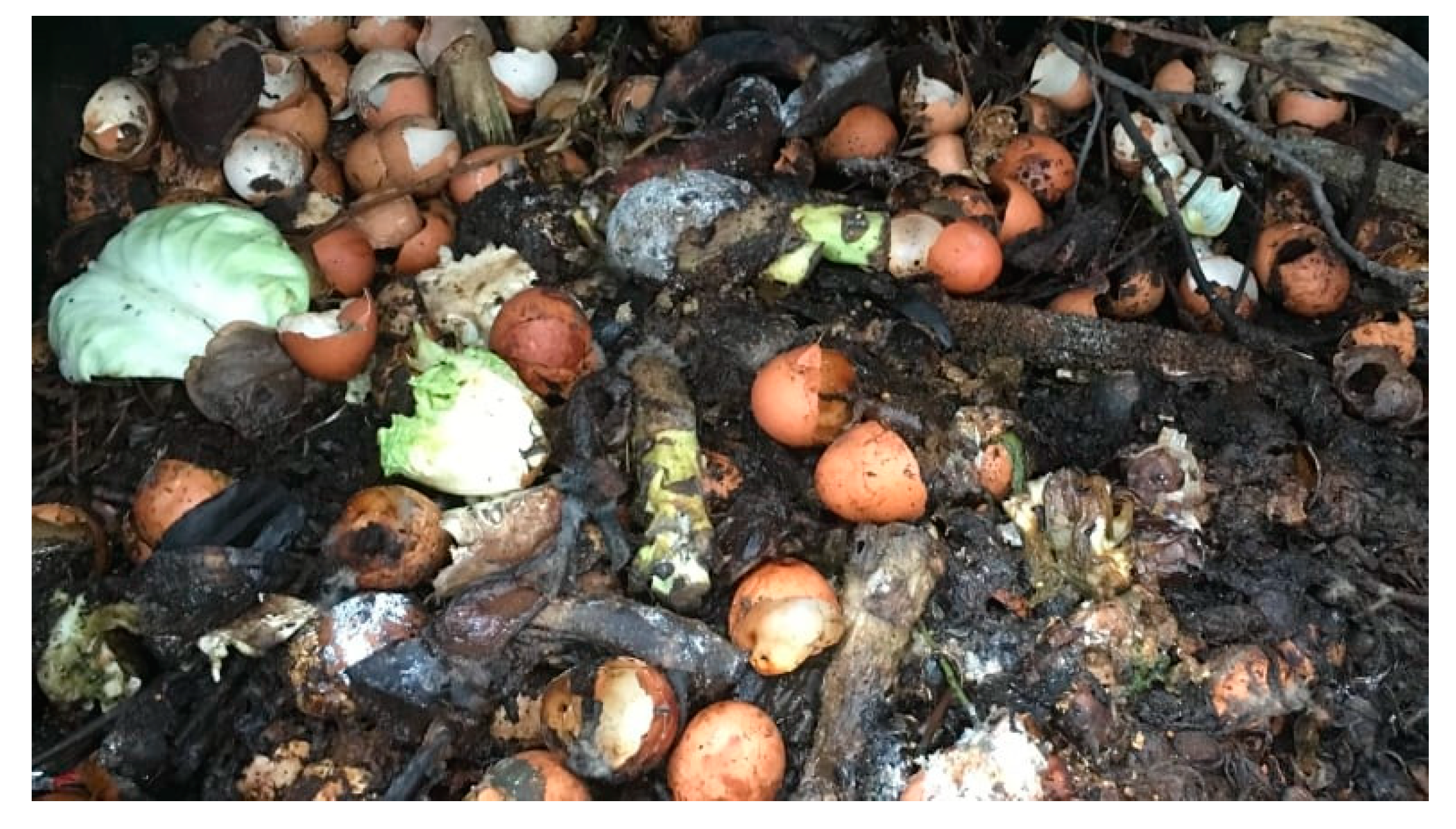 Materials 12 02483 g001 Materials 12 02483 g001