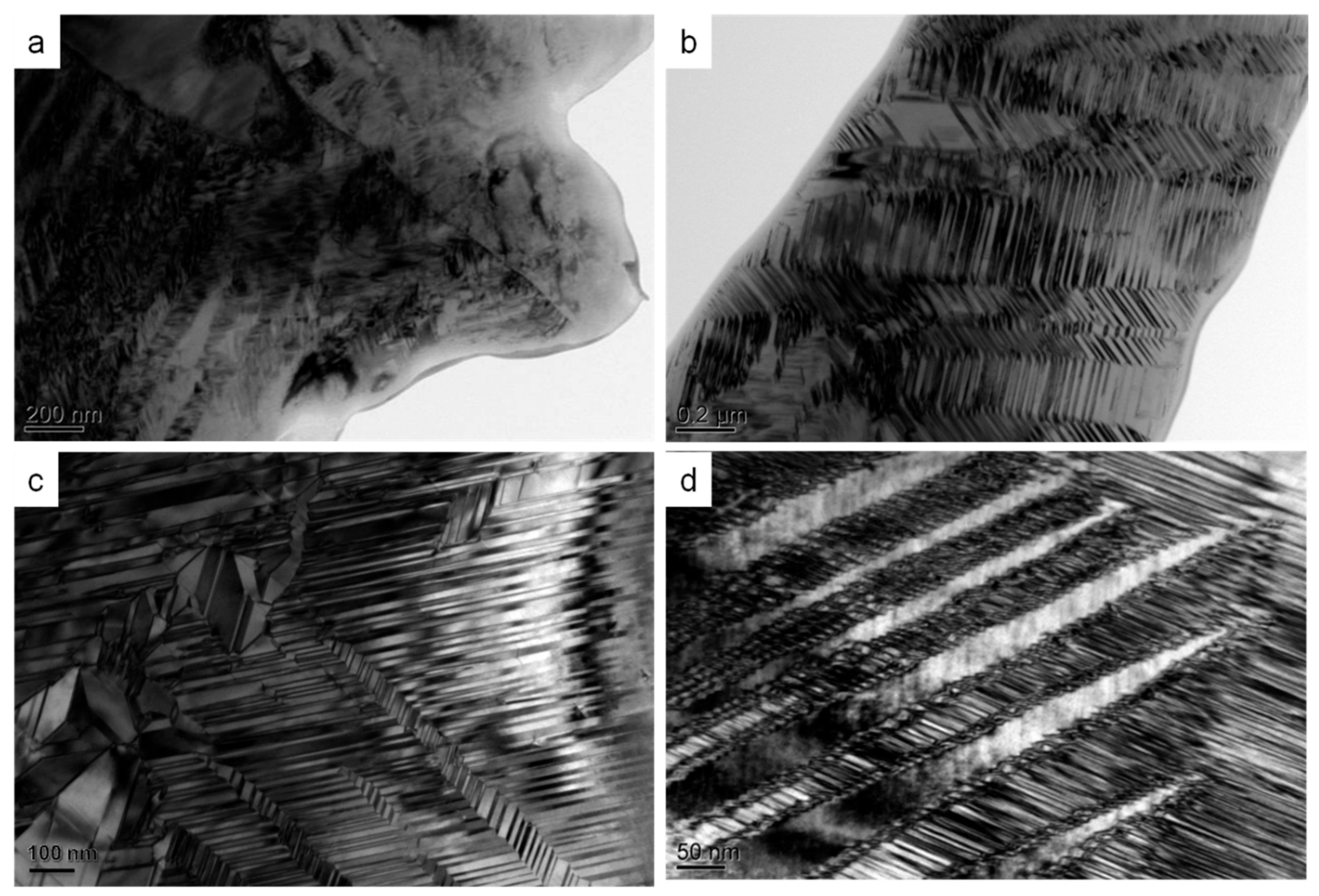 Materials 12 02484 g003