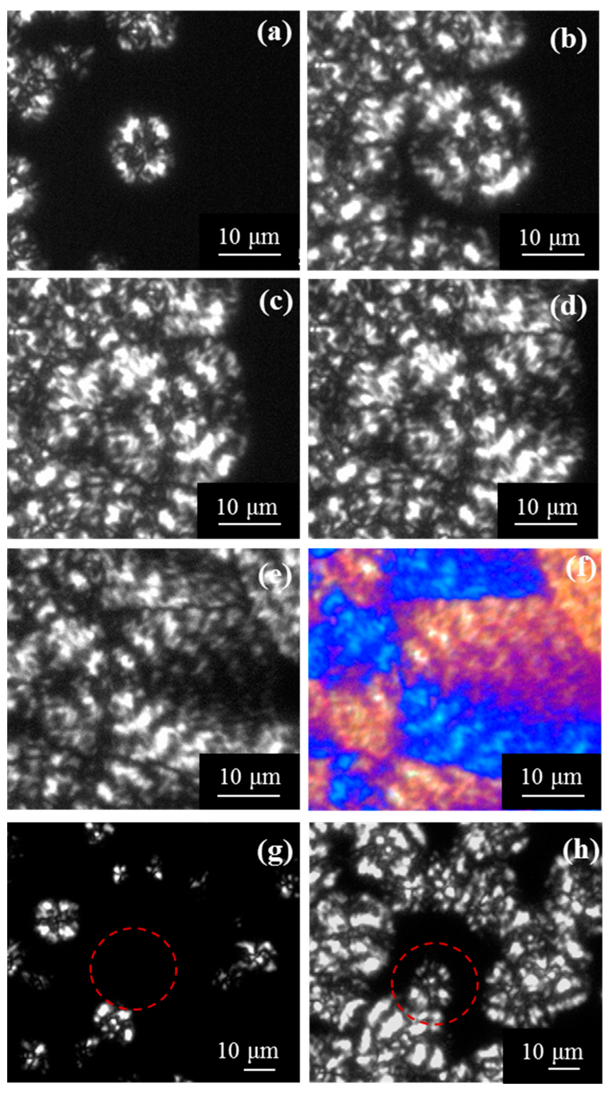 Materials 12 02488 g012