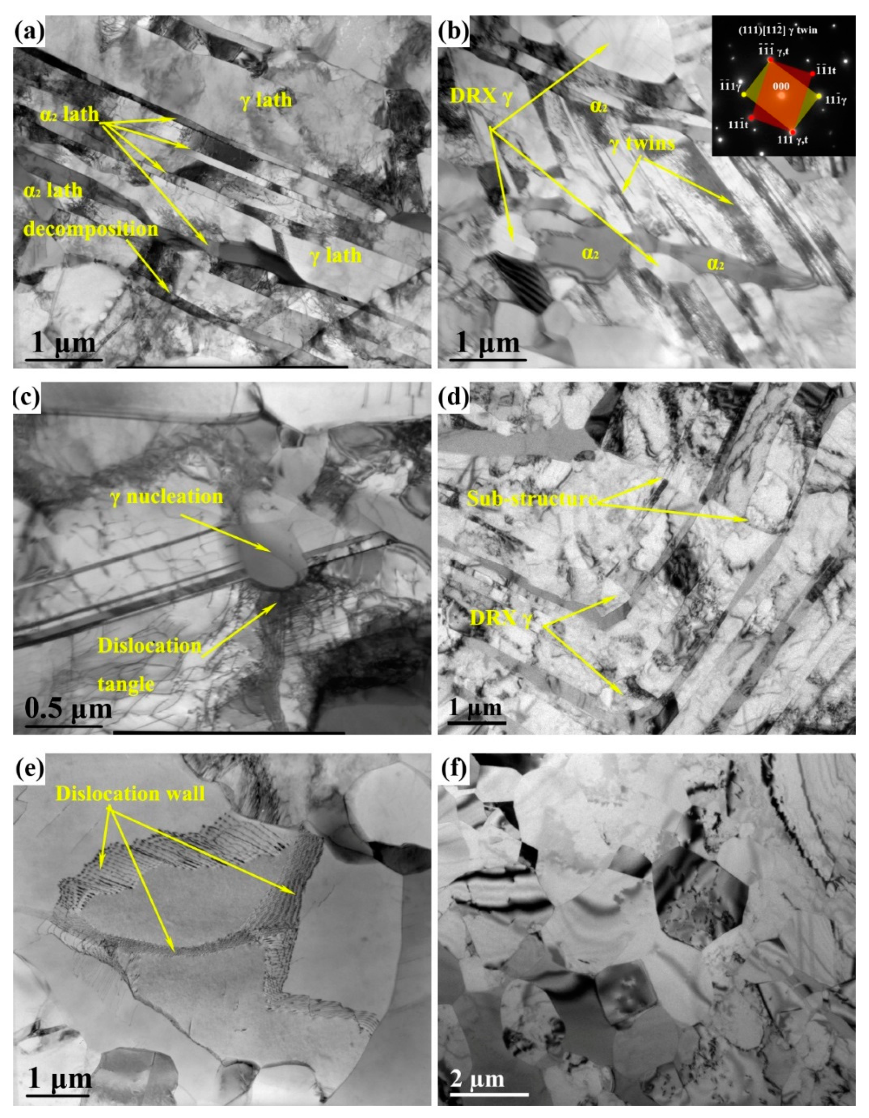 Materials 12 02496 g007